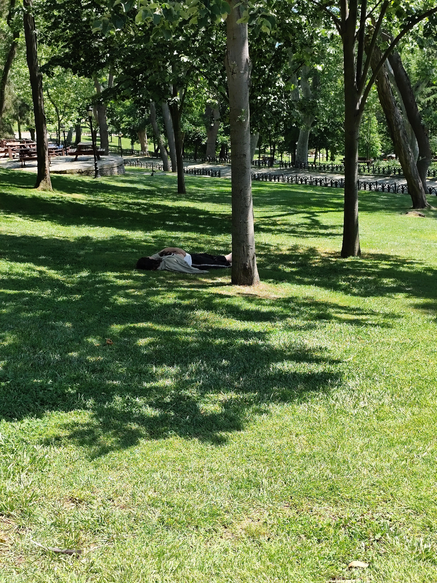 This vertical shot depicts a serene, sunlit park scene in Sarıyer, Turkey, characterized by abundant greenery and mature trees. The foreground is dominated by lush green grass, interspersed with dappled shadows cast by the trees.
In the mid-ground, slightly to the right of center, a person is lying down on the grass, appearing to be resting or sleeping. They are dressed in light-colored casual wear, partially covered by a dark item of clothing or blanket, and their head is resting on the ground. Sunlight and shadows fall across their body.
The background reveals more of the park's amenities. To the left, a paved area features several wooden picnic tables and benches, some of which appear to be occupied by indistinct figures. A decorative, low black metal fence with ornate patterns winds through the park, lining what seems to be a pathway or boundary in the mid-distance. Numerous tall trees with varying bark textures and dense green foliage are scattered throughout the scene, contributing to the shaded and pleasant atmosphere.
The strong, clear sunlight and distinct shadows indicate it is daytime, likely a bright and warm day. The scene evokes a sense of peace and relaxation, typical of a public green space. There is no visible text in the image.