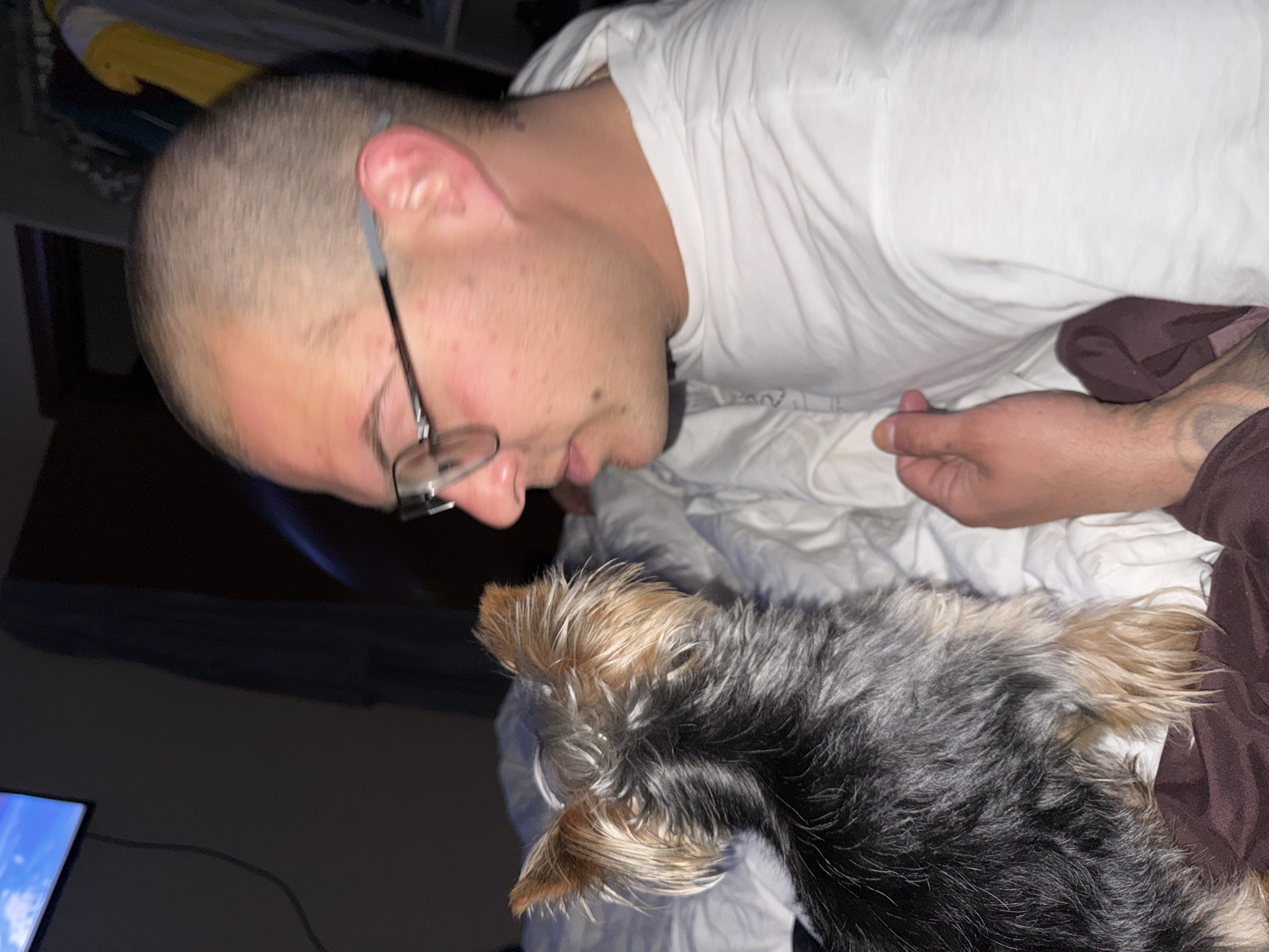 A man is seen with his head bowed down, looking at a small dog. The man is fair-skinned, has a shaved head, and is wearing glasses and a white t-shirt. The dog is a Yorkshire Terrier with black and tan fur. The man and dog are on a white bed. A television is visible in the bottom left corner of the image. The location is impossible to determine from the image.