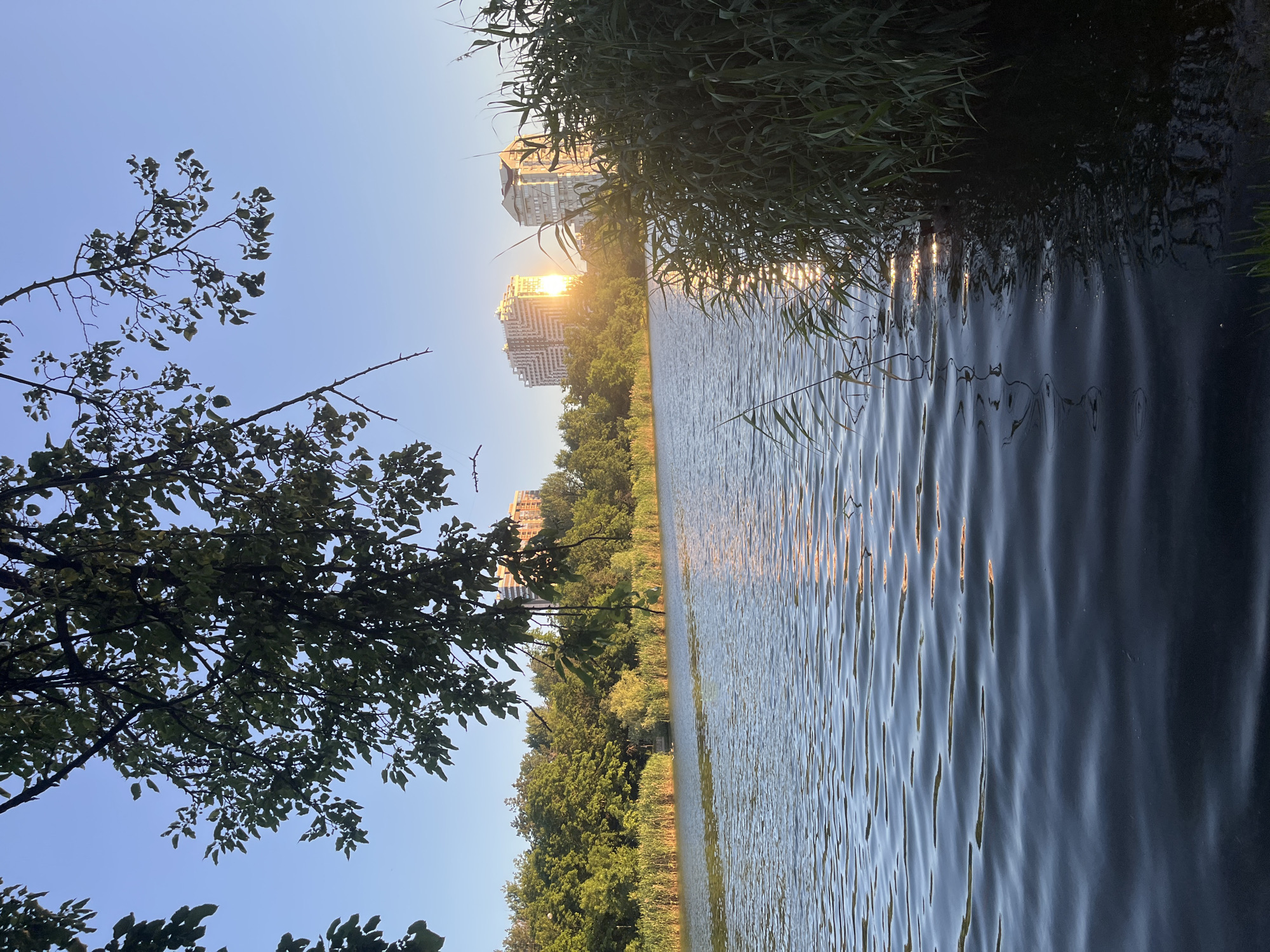 The image depicts a tranquil lake scene with buildings in the background, likely within the city of Krasnodar, Russia. In the foreground, the lake's surface is calm, reflecting the clear blue sky and the warm glow of the setting sun. The water is rippled, creating a shimmering effect. On the right side of the frame, tall reeds and grasses grow along the water's edge, partially obscuring the view of the lake.
Across the lake, a dense line of lush green trees forms a natural barrier, separating the water from the urban landscape beyond. Silhouetted against the bright sky are several modern buildings, characterized by their geometric architecture and varying heights. The sun, low in the sky, casts a brilliant, almost blinding light, creating a lens flare effect as it reflects off the buildings and the water. The overall impression is one of a peaceful evening in an urban environment, where nature and city coexist.