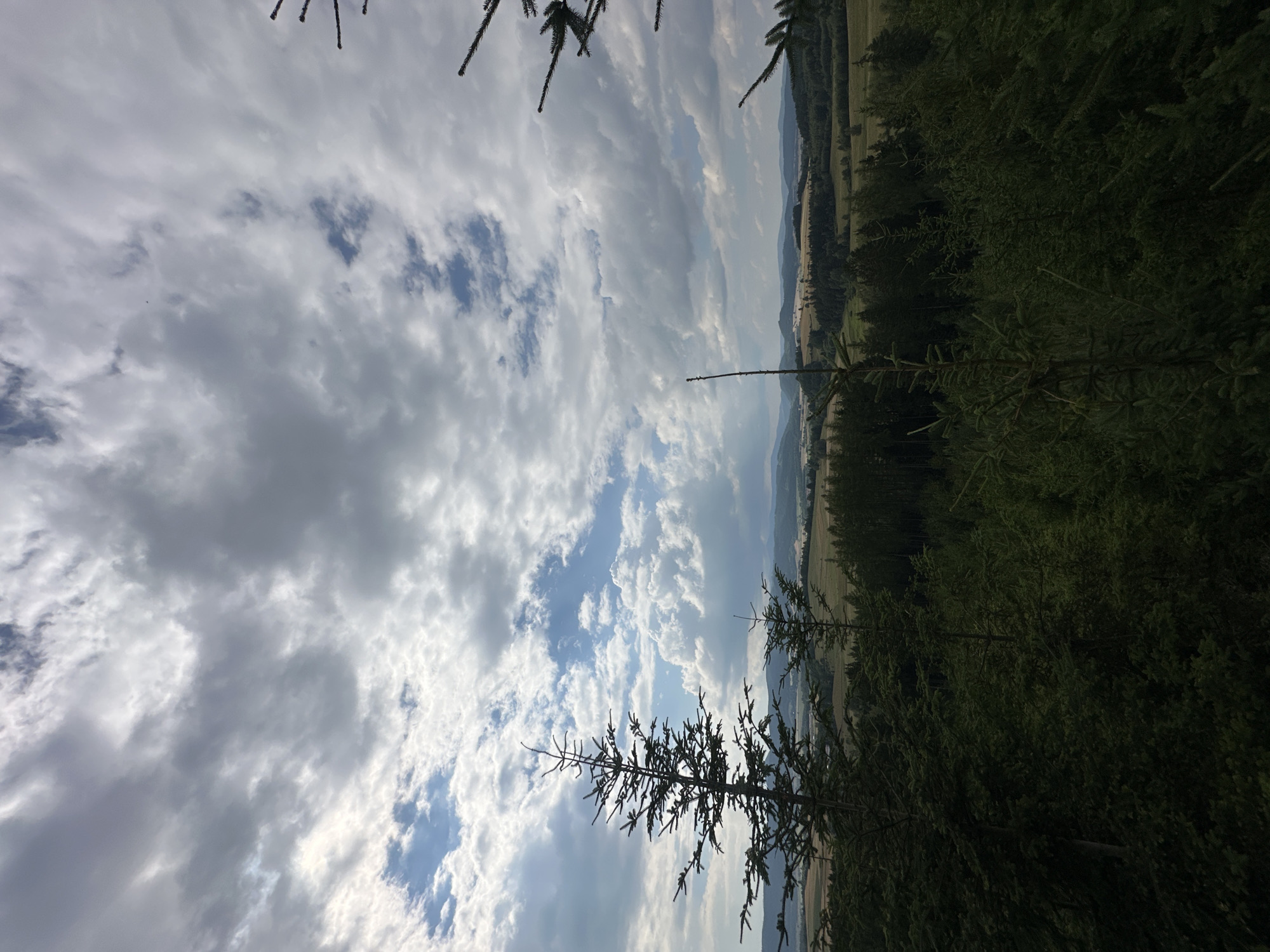 The image captures a vast landscape viewed from an elevated position, likely a hill or a viewing tower, in the vicinity of Chełmsko Śląskie, Poland. The foreground is dominated by dense, dark green coniferous trees, with two prominent fir trees framing the left side of the composition. Their branches extend upwards, partially obscuring the sky.
The middle ground features a rolling terrain covered in a mix of dense forests and lighter green fields or meadows. The trees in this area appear less dense than those in the foreground, allowing glimpses of cultivated land or open spaces. A winding road or a path might be subtly visible, cutting through the landscape.
The background consists of a series of rolling hills or low mountains, fading into a hazy blue horizon. The farthest hills are indistinct and blend with the atmospheric conditions.
The sky is a dramatic canvas of clouds. Large, heavy, grey clouds with white edges are interspersed with patches of bright blue sky. The sunlight struggles to break through the cloud cover, creating areas of shadow and light across the landscape. The overall mood is one of natural beauty and expansive scenery, with a hint of a slightly overcast or dramatic sky. There are no people or man-made structures explicitly visible in the image.