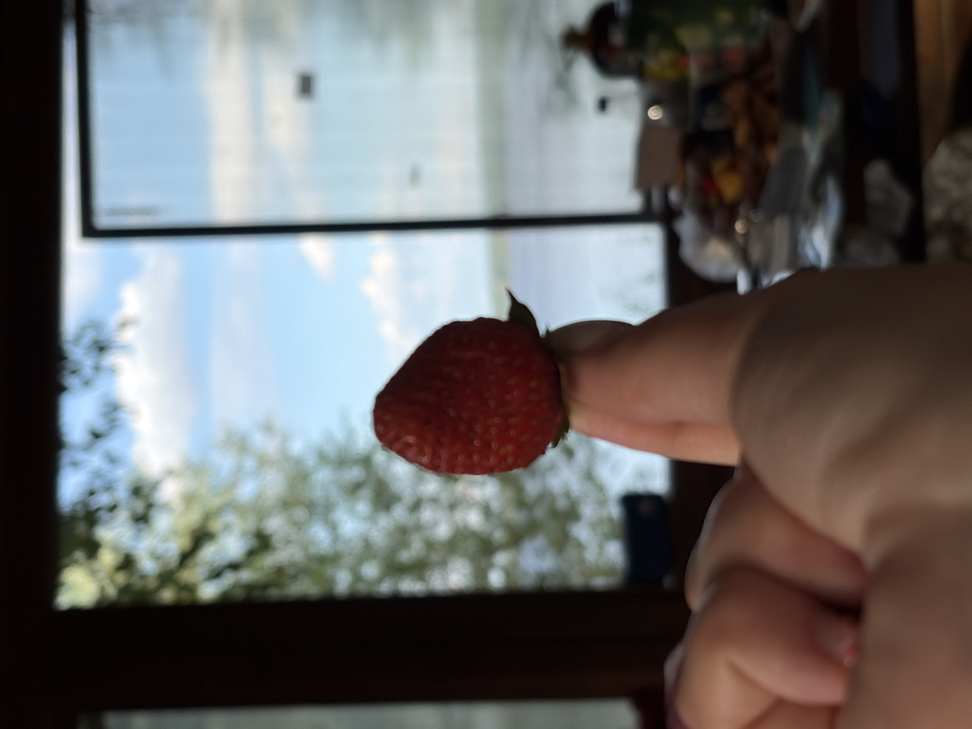 A hand is holding a single strawberry in front of a blurred background of a window with a view of trees, sky, and water. The strawberry is red and has visible seeds. The hand appears to be a person's thumb and forefinger. The overall scene suggests an indoor setting with a view of the outdoors. The image does not provide any specific information about the city of Chaikovsky, Russia.
