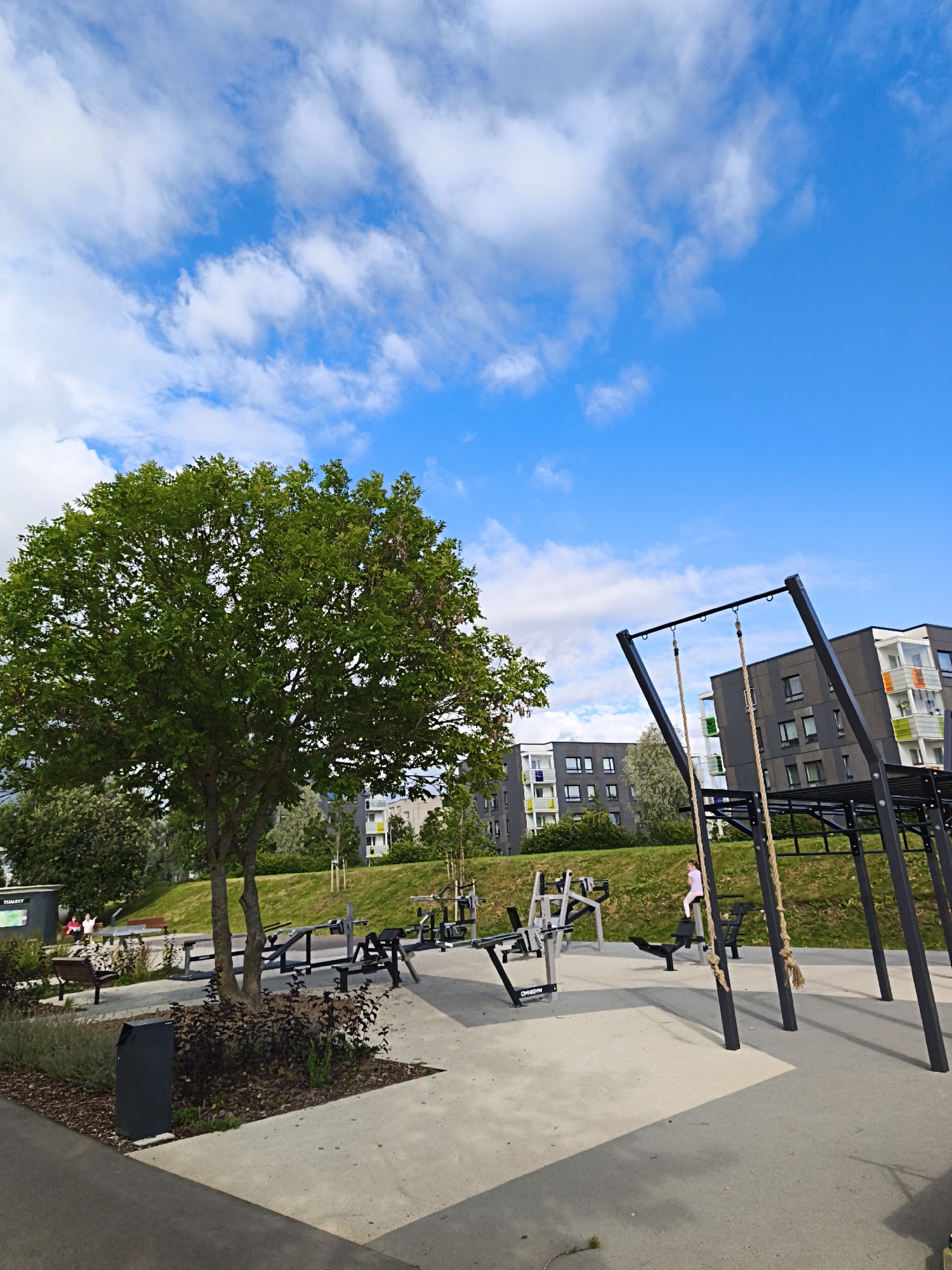 The image captures an outdoor fitness park situated in Tallinn, Estonia. The park features a variety of exercise equipment, including a pull-up bar structure with ropes, benches, and machines designed for different muscle groups. A large, leafy tree stands prominently to the left of the frame. In the background, modern residential buildings with dark facades and colorful balconies rise against a bright blue sky dotted with white clouds. A young girl in a light-colored outfit is visible on one of the exercise machines. The ground is a mix of concrete paving stones and grassy slopes.