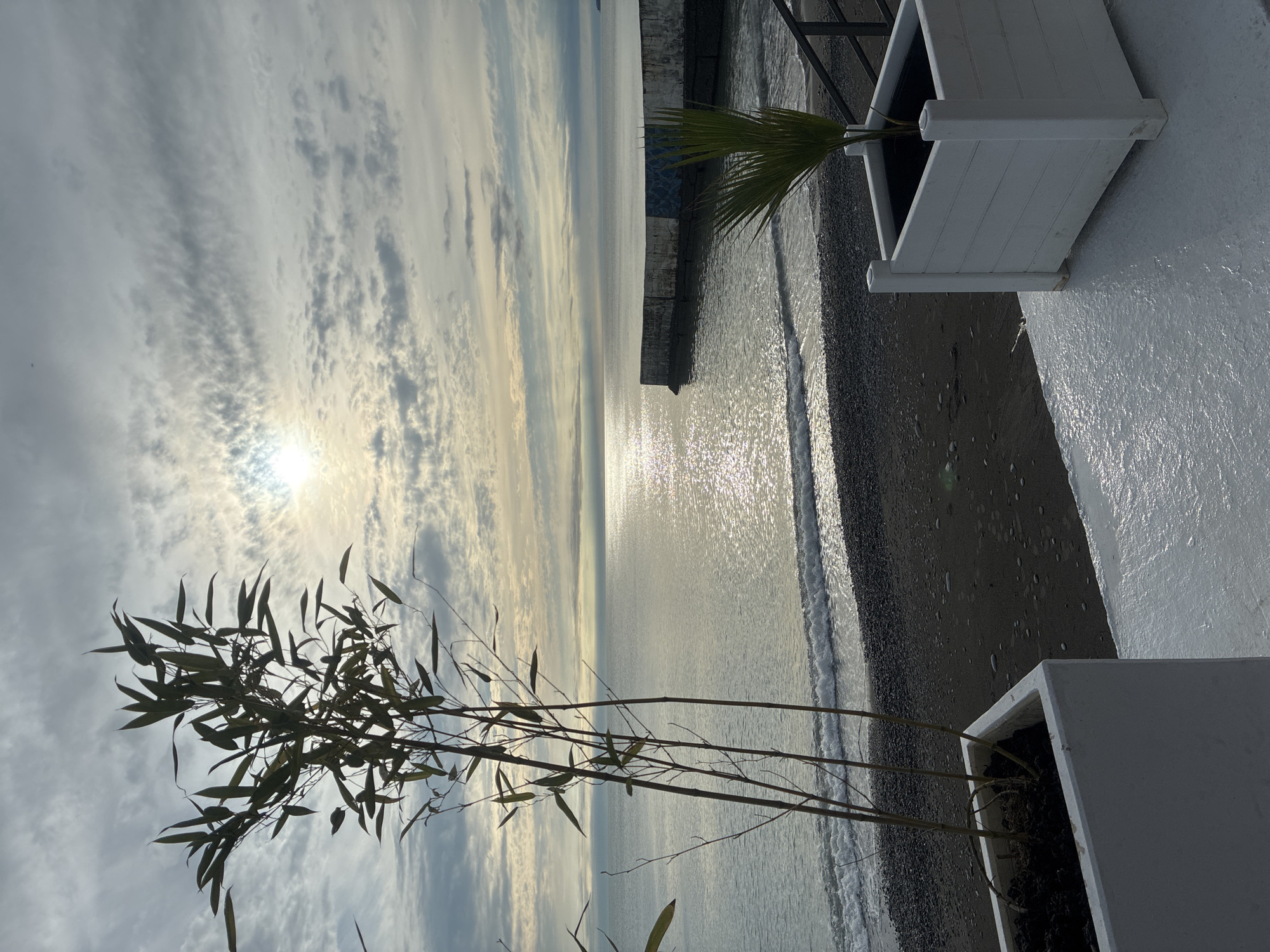 A slightly high-angle shot oriented horizontally presents a tranquil coastal scene with the sky dominating the upper half. The sun, a bright orb, shines through a textured cloudscape, casting a shimmering reflection on the sea below. The calm water stretches out to the horizon, where it meets the sky in a soft, blurred line.
In the foreground, on what appears to be a white surface, are two square planters. One contains thin, branch-like plants with sparse leaves, while the other holds a small palm. To the left of the frame, a dark-colored beach with small pebbles extends along the coastline. A small pier or breakwater structure is situated on the edge of the beach. The image gives the impression of a peaceful, serene morning on the coast. The location is Sochi, Russia.