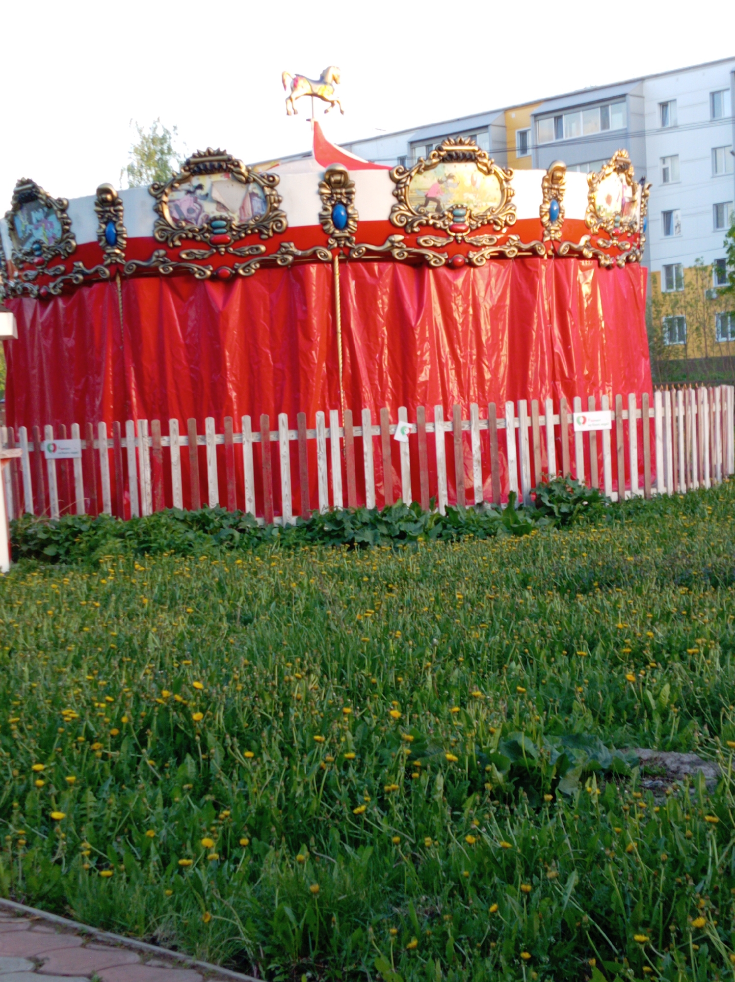 A carousel is positioned in a grassy area in Bugulma, Russia. The carousel is enclosed by a red plastic curtain and a white picket fence. The grassy area in front of the carousel is covered with dandelions and other vegetation. A building is visible in the background.