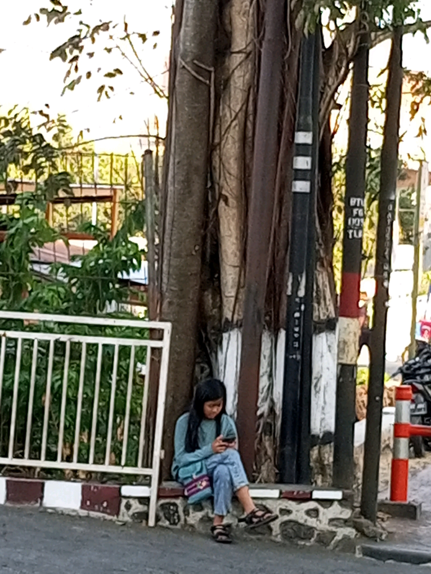 A young girl is sitting on a stone ledge in front of a large tree with exposed roots, next to a white metal fence. She is wearing a light blue sweater and blue jeans, and is looking down at her phone. A small purse with a floral design is slung over her shoulder. The tree is situated on a street in Batu, Indonesia, with a sidewalk and road visible in the foreground. Several utility poles with black and white stripes are also present. In the background, there is lush green foliage.