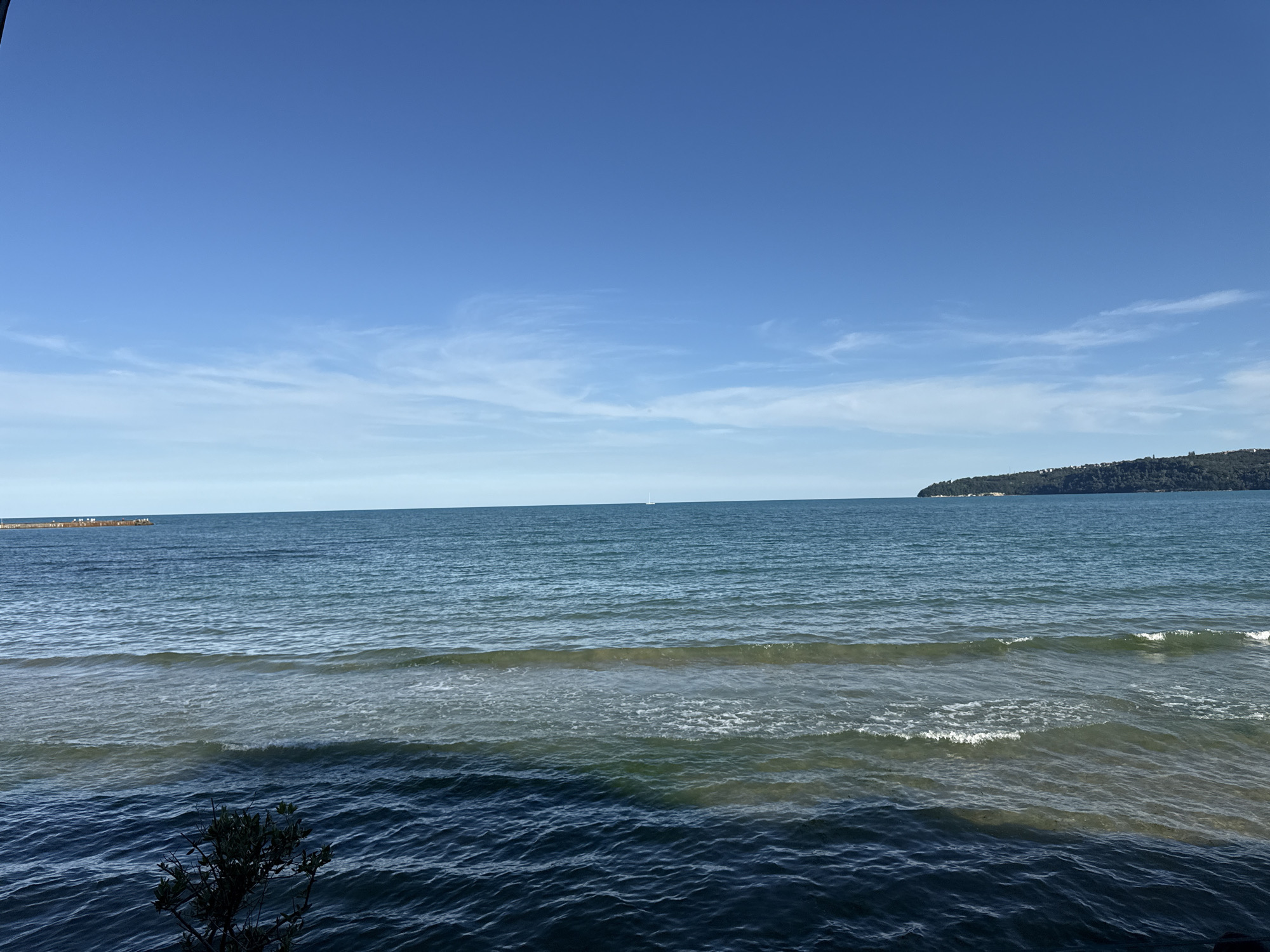 The image shows a wide view of the Black Sea from the coast of Varna, Bulgaria. The sky is a clear, vibrant blue with a few wispy white clouds. The sea stretches to the horizon, with gentle waves creating ripples on the surface. The water transitions from a deep blue in the foreground to lighter shades of turquoise and green closer to the shore, where some sediment is visible beneath the surface. In the distance, a long, flat structure, possibly a breakwater or a barge, is visible on the left. On the right, a lush, green, hilly coastline with scattered buildings can be seen extending into the sea. A small boat with a white sail is visible on the horizon in the center. In the immediate foreground, on the lower left, a small, dark green bush with sparse leaves is partially visible, casting a shadow on the water. The scene is peaceful and suggests a bright, sunny day at the coast.