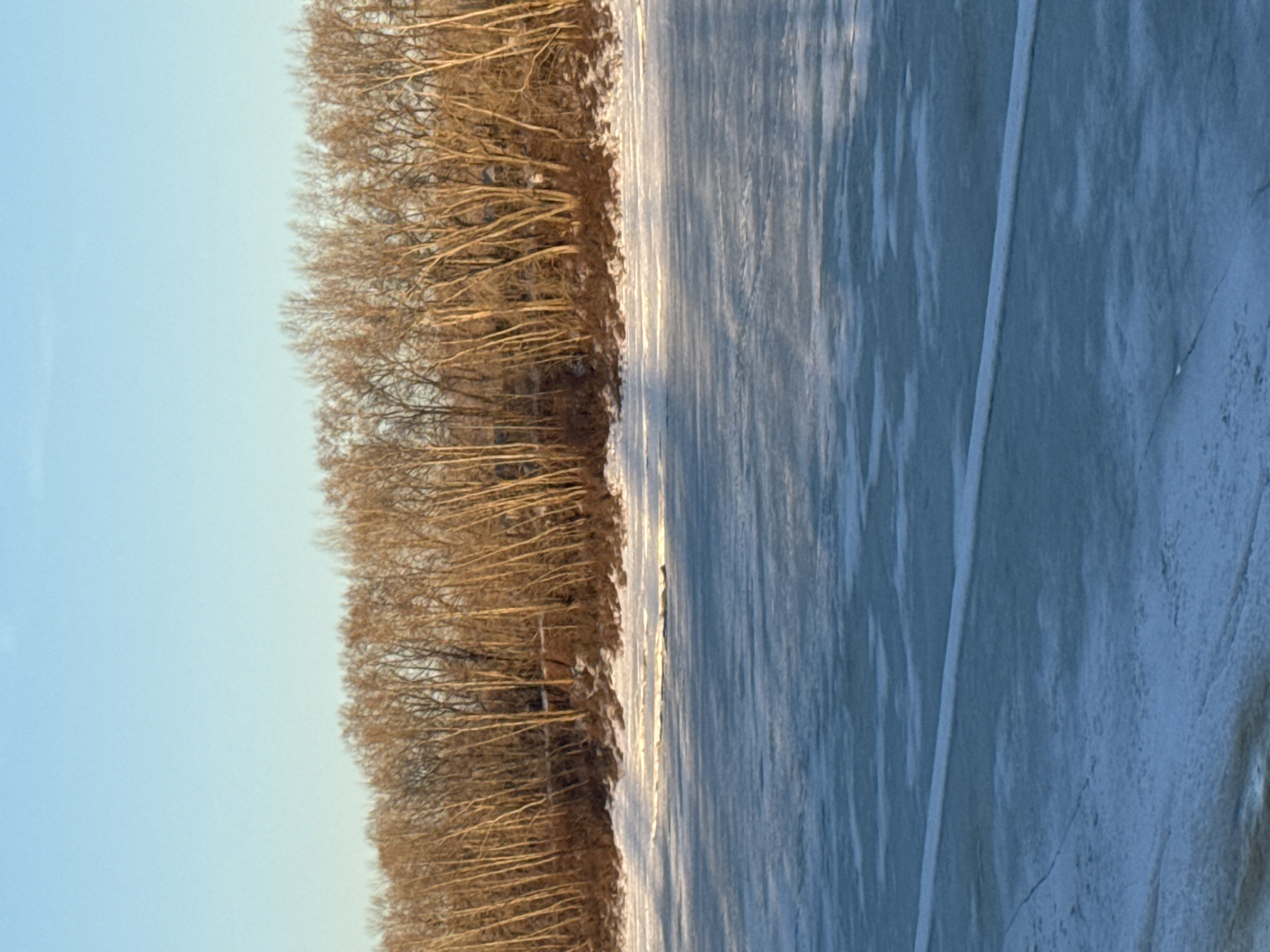 The image depicts a frozen body of water, likely a river or lake, adjacent to a line of bare trees. The scene appears to be in Chaikovsky, Russia, based on available information. The ice is cracked in places. The sky is pale blue. No people or actions are visible.