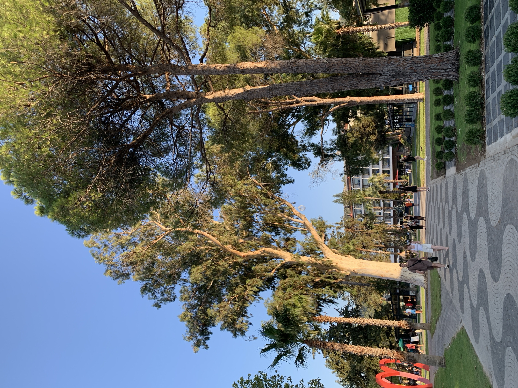 The image depicts a scenic pathway in the city of Kemer, Turkey, likely within a resort or park area. A wide, paved walkway with a distinctive wavy pattern dominates the foreground. Several individuals are seen walking along this path. To the left, a large, vibrant red heart sculpture is visible. The pathway is bordered by lush green grass and manicured bushes. Tall trees, including palm trees and large pines, provide shade and contribute to the tropical or Mediterranean ambiance. In the background, a multi-story hotel or resort building with balconies can be seen, along with other trees and structures that suggest a developed tourist area. The sky is a clear, bright blue, indicating a sunny day. The overall scene conveys a relaxed and pleasant atmosphere, characteristic of a coastal resort town.