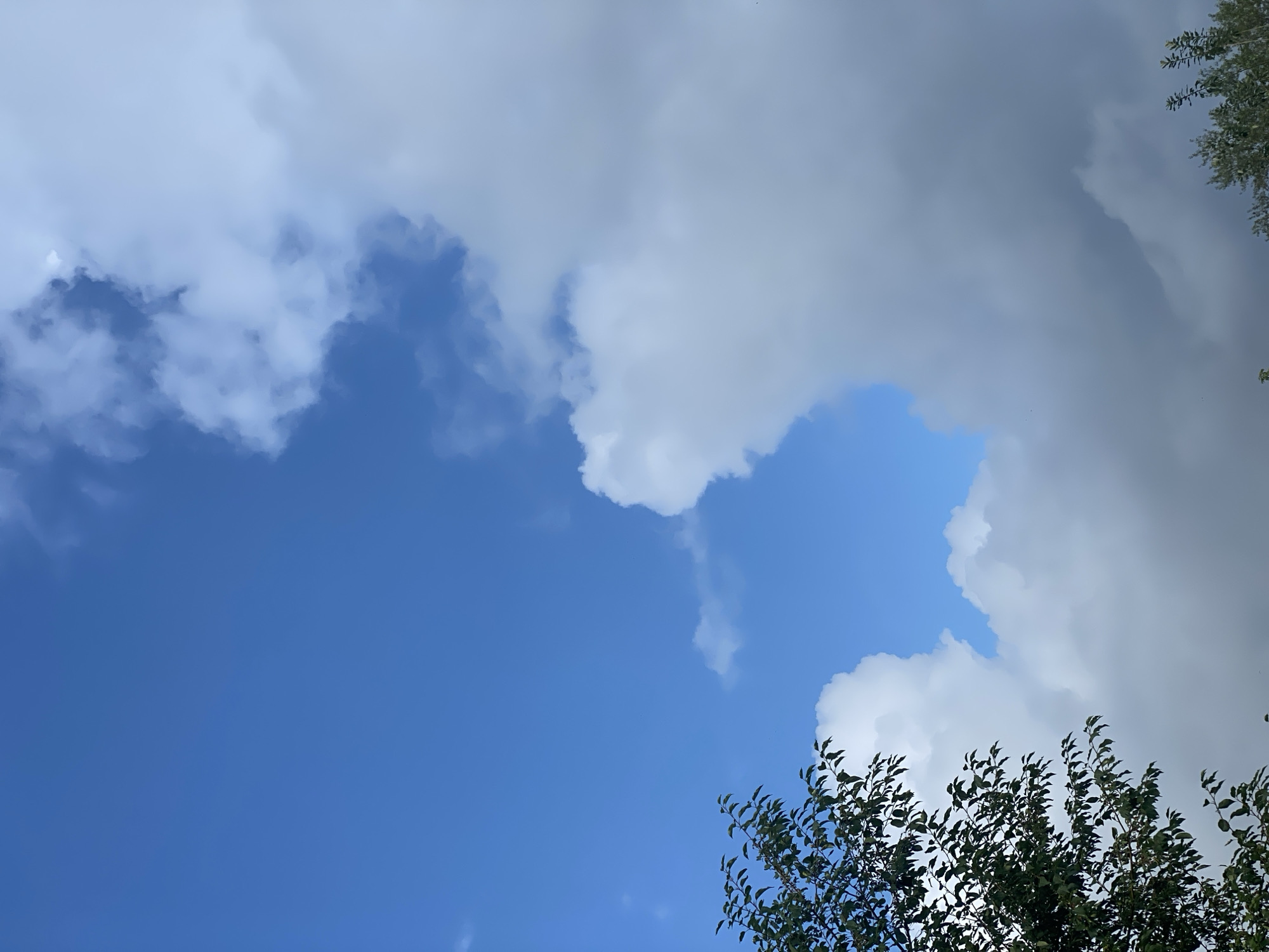 The image depicts a sky with a gradient of blue and grey clouds. In the lower left corner, a portion of a leafy green tree is visible. The scene is a clear day with scattered clouds, suggesting fair weather. The location is identified as Novokuznetsk, Russia. No people or specific objects are identifiable beyond the natural elements of the sky and tree.