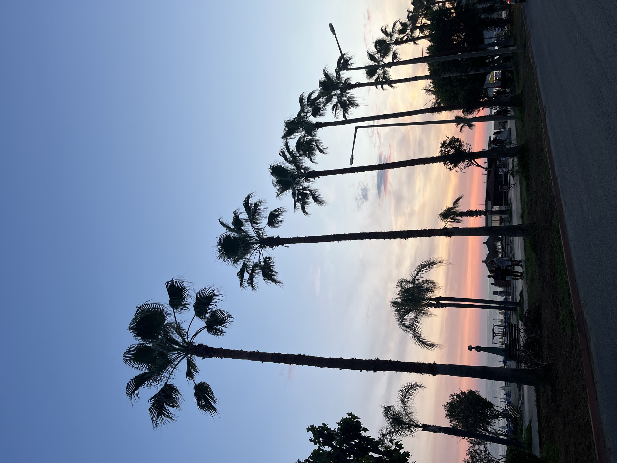 The image shows a row of palm trees silhouetted against a colorful sky. The sky transitions from a light blue at the top to a pastel mix of pink, orange, and light yellow near the horizon. The palm trees are lined up, with the closest trees appearing larger and more detailed, while those in the distance are smaller and more faded. The base of the trees leads to a dimly lit area, possibly a park or beachside walkway, with figures of people visible in the background. Streetlights are interspersed among the trees. A road borders the right side of the image. Given the presence of palm trees and the description of Alanya, Turkey being known for its palm-lined beaches and sunsets, the image location is most likely a beachside promenade in Alanya, Turkey, likely near sunset.