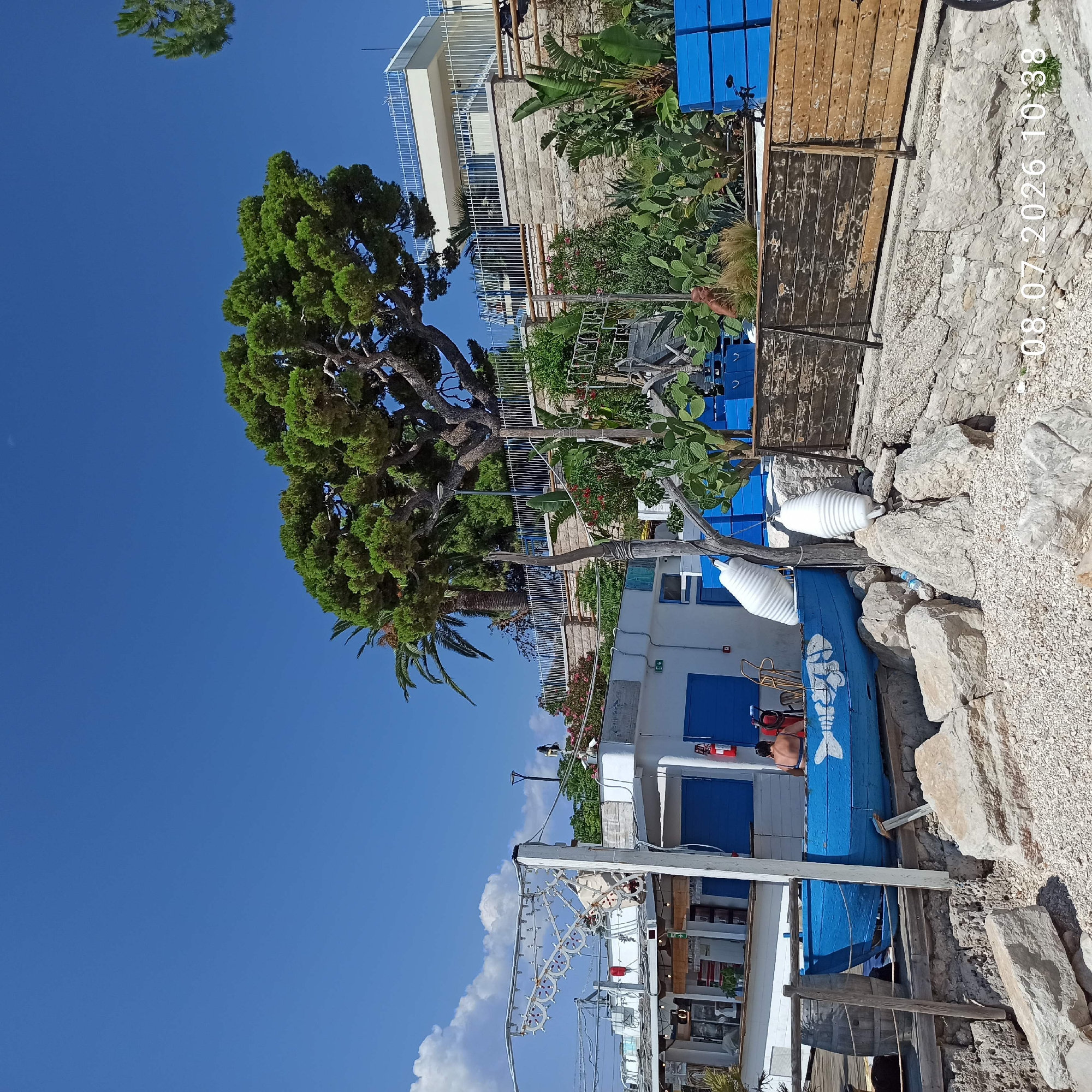 The image depicts a sunny outdoor scene, likely a coastal area in Trani, Italy, given the architecture and vegetation. In the foreground, large rocks and pebbles form a rocky shoreline. A blue boat, decorated with a white fish motif, is prominently positioned on wooden supports, slightly elevated from the ground. Two white, ribbed cylindrical objects, resembling buoys, are hanging from a wooden post near the boat.
Behind the boat, a white building with blue shutters and an outdoor seating area is visible. A person with dark hair is seated on the edge of the boat. Further back, lush green vegetation, including cacti, palm trees, and a large, mature pine tree, thrives against a backdrop of a modern multi-story building with white railings. The sky is a clear, vibrant blue, with a few white clouds on the left side of the frame.
A wooden fence with weathered planks runs along the right side of the scene, separating the waterfront area from the elevated building. Blue plastic crates are stacked behind this fence. The timestamp "08.07.2026 10:38" is overlaid on the bottom right of the image, indicating the date and time the photograph was taken. The overall impression is one of a relaxed, Mediterranean coastal setting.
