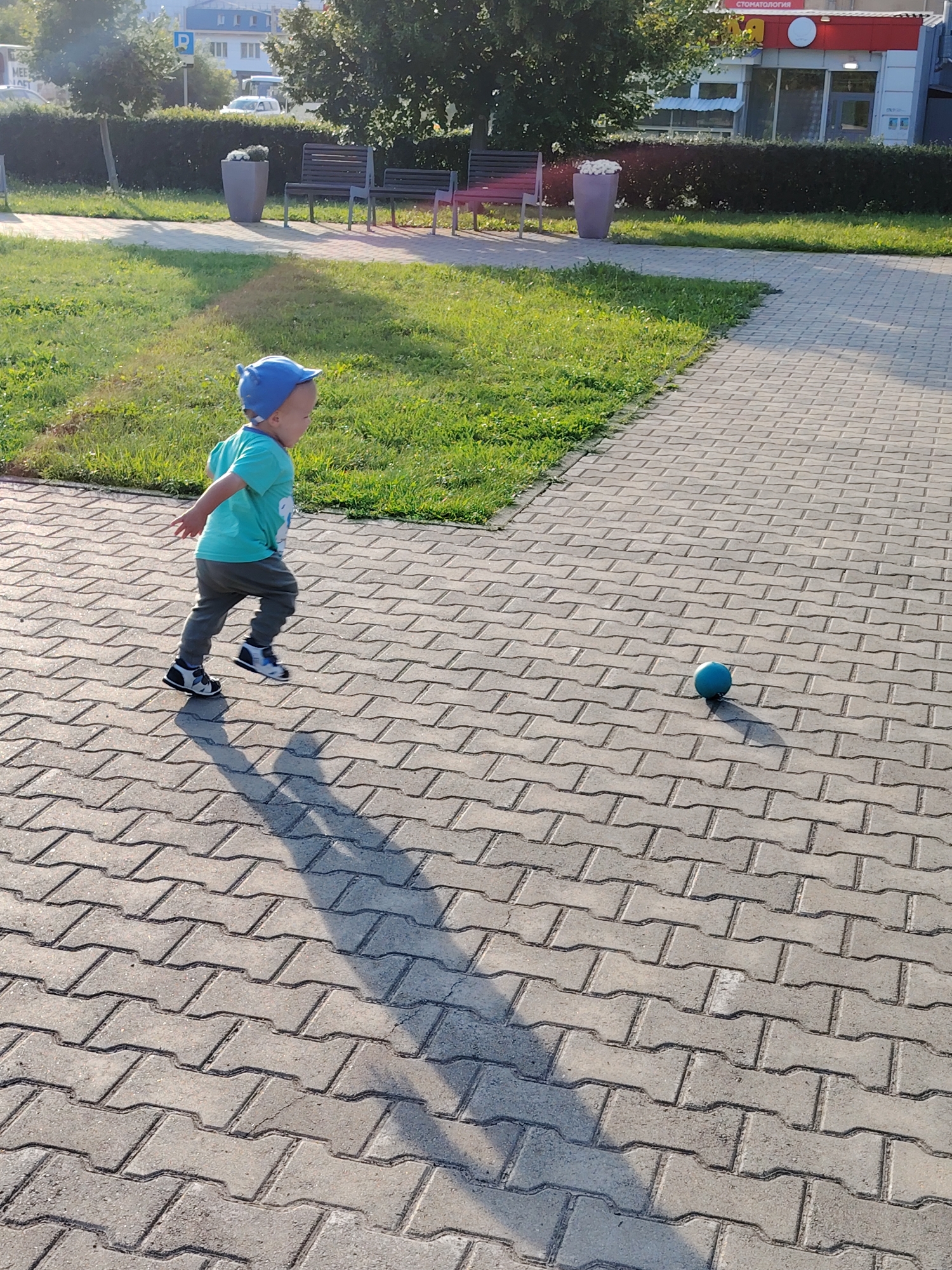Memory
