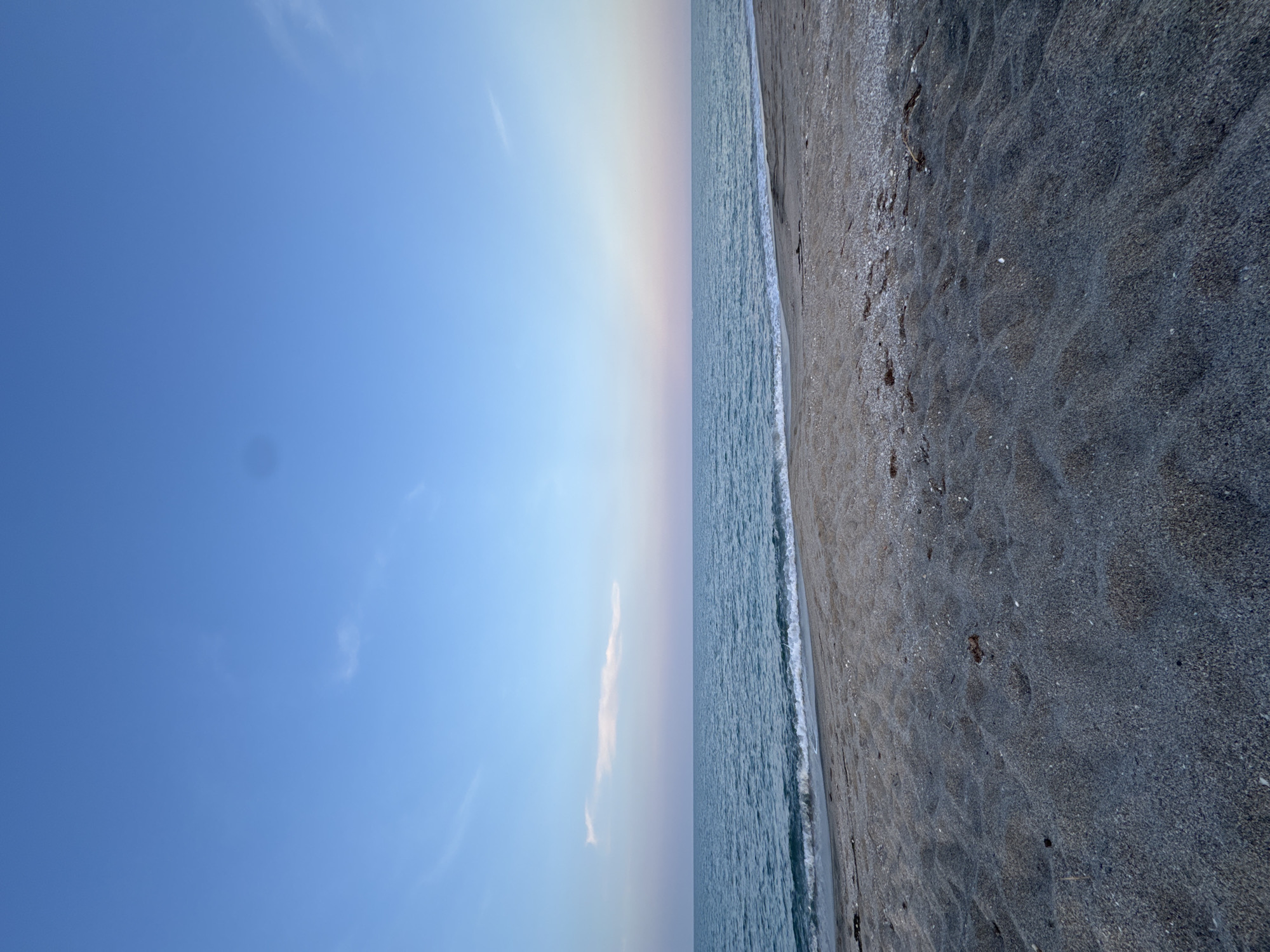 The image shows a tranquil scene of a beach in Pomorie, Bulgaria, at dusk. The sky is a gradient of soft blues and pinks, with a few wispy clouds. The sea is calm, with small waves gently lapping at the shore. The beach itself is made of dark sand, with scattered seashells and a few pieces of driftwood. The perspective is low, looking out towards the sea, with the sand in the foreground creating a textured, almost abstract pattern. The overall impression is one of peace and natural beauty.