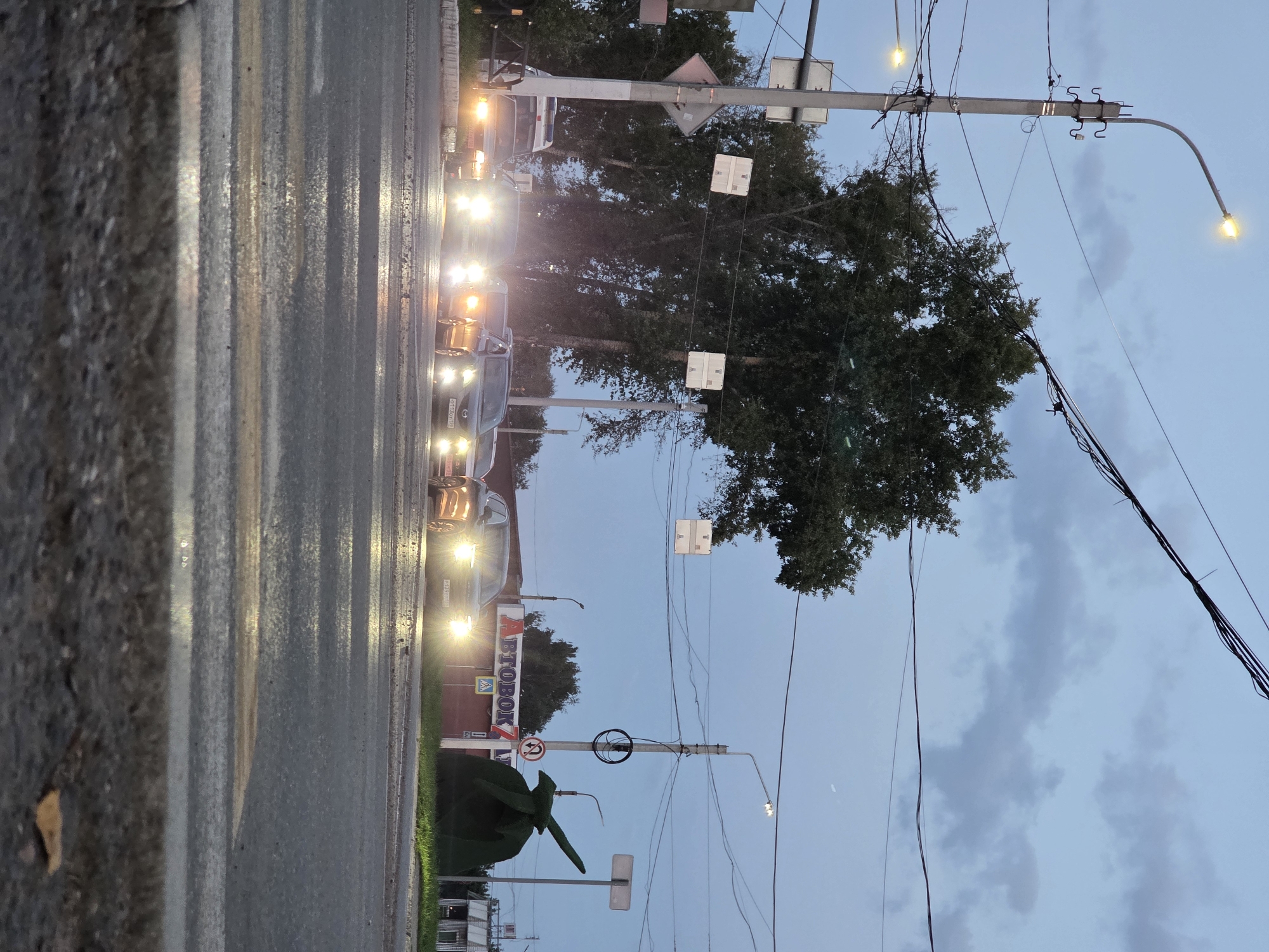 The image depicts a street scene at dusk in Chaikovsky, Russia. A line of cars with their headlights on is stopped at a pedestrian crossing. The sky is overcast with grey clouds. On the right side of the image, there is a large, green, topiary-like sculpture of a bird. Behind the sculpture, there is a streetlight and a sign. In the background, there are buildings, including one with the word "АВТОБОК" visible. The road surface is wet and reflects the car headlights and traffic lights. There are traffic lights and streetlights visible throughout the scene, along with overhead power lines and utility poles. A few trees with dark green foliage are present on the left side of the image. The perspective is from a low angle, close to the ground, looking up at the traffic and the cityscape.