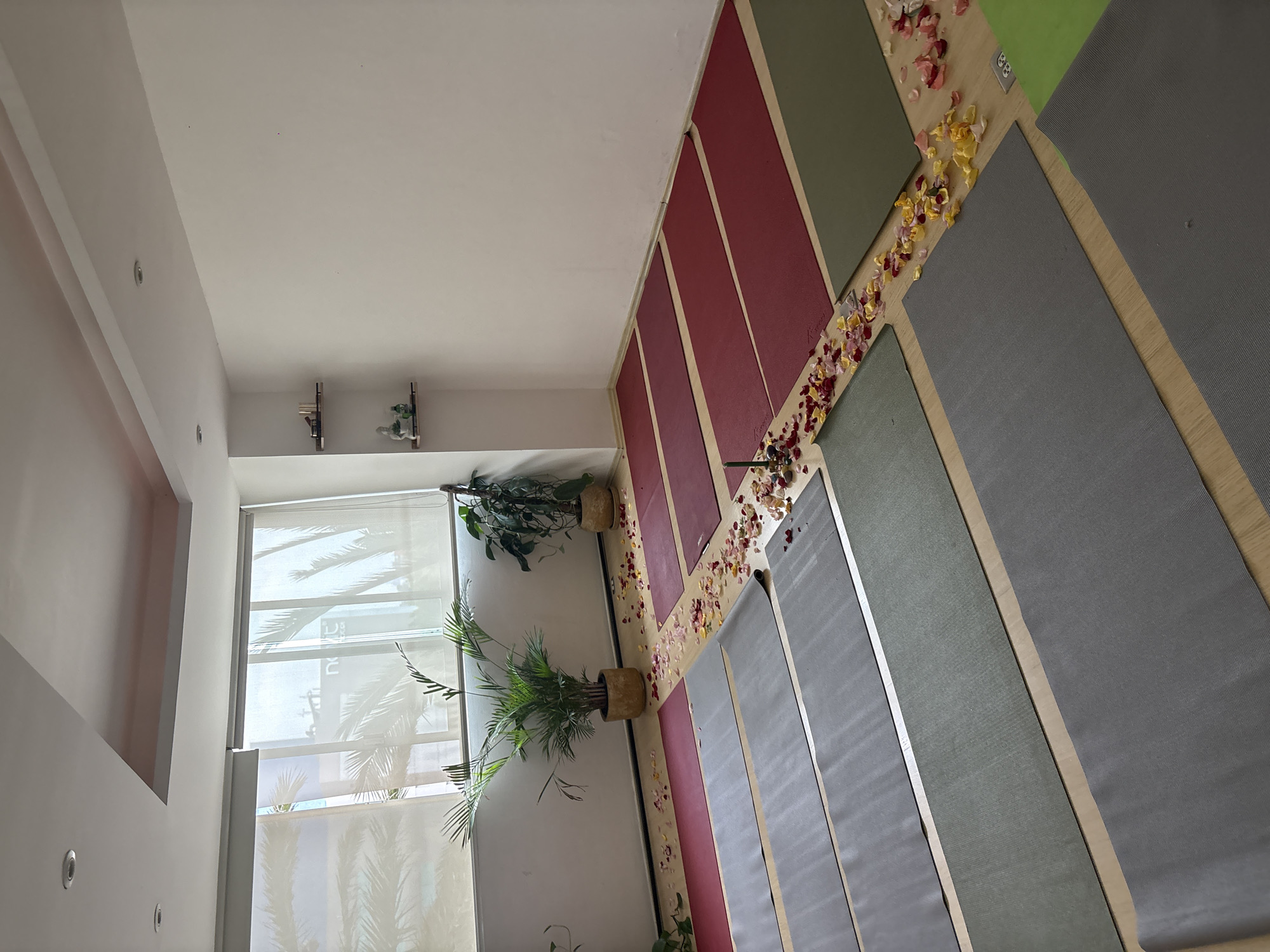The photograph captures an interior space, likely a yoga studio or wellness center. The room is bright, with natural light streaming in through a large window covered with a sheer white blind, revealing a view of palm trees and signage from outside, suggesting a location in an urban environment, possibly Mexico City, Mexico.
The floor is wooden and arranged with several yoga mats, some gray and one green. Between the mats, a trail of flower petals creates a pathway.
Two potted plants, one with broad green leaves and the other with palm-like foliage, are positioned near the window, adding a touch of nature to the space.
The walls are a combination of light beige or white and sections painted in maroon and muted green. A small shelf on the wall holds decorative items.