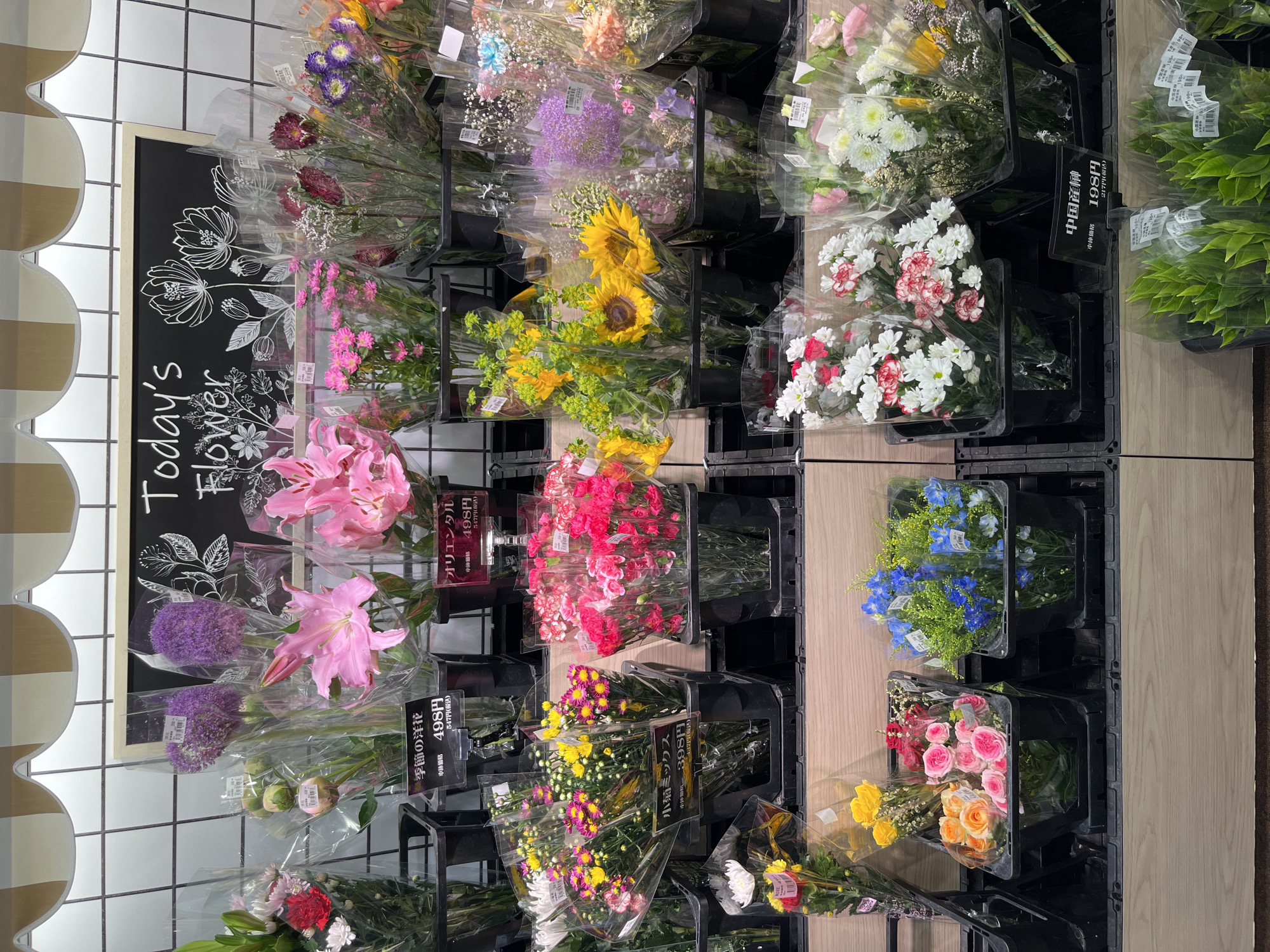 This forensic description details a well-lit indoor retail flower display in Sayama, Japan. The scene presents a multi-tiered arrangement of numerous cut flower bouquets, predominantly wrapped in clear plastic and positioned upright in black plastic water containers, which are organized within black wire crates on wooden shelving units.
The top tier features various flower types including large purple spherical allium, vibrant pink lilies, red and white mixed bouquets, and other assortments. A central blackboard sign, framed in light wood, displays "Today's Flower" in white chalk alongside illustrative floral sketches. Pricing signs, written in Japanese with white text on black rectangular placards, indicate costs such as "498円" (498 Yen) for "季節の洋花" (seasonal Western flowers) and "オリエンタル" (Oriental lilies).
The middle tier showcases smaller mixed bouquets, including yellow and purple chrysanthemums labeled as "小菊ミックス" (small chrysanthemum mix) priced at "398円", and bright pink carnations. Other bouquets on this level include sunflowers, mixed white and red flowers, and various colorful assortments.
The bottom tier displays bundles of roses in shades of yellow, orange, and pink, as well as blue delphinium-like flowers, also in black containers. Further along this tier, bouquets of white and red carnations and white chrysanthemums are visible. A sign for "中国産榊" (Chinese-grown Sakaki, a type of foliage) is present, indicating a price of "198円".
The background consists of a white tiled wall with black grout lines. A decorative striped valance, featuring cream and light brown vertical stripes, borders the top of the scene. No individuals are present in the image.