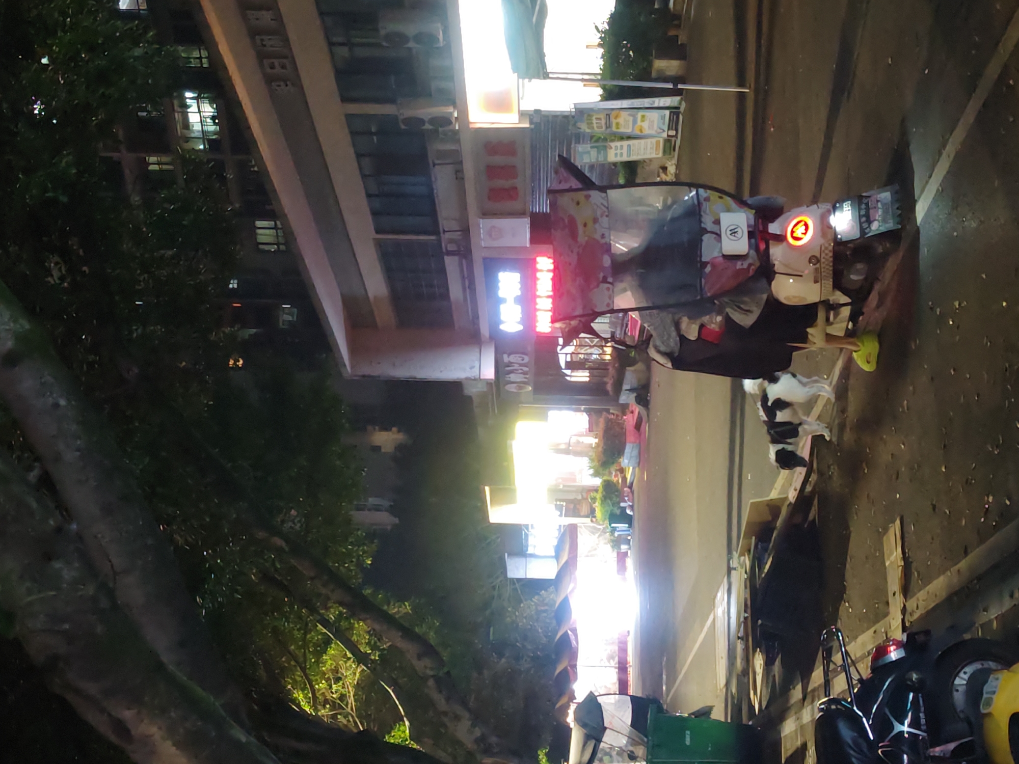 A nighttime street scene in Chongqing High-tech Zone, China, features a building with lit signage in Chinese characters, including bright red and blue neon-style signs. A person in light green shoes stands near a covered tricycle with a colorful canopy. A black and white dog is near the tricycle. The street is lit by overhead lights. A large tree is in the foreground on the left. Motorcycles are parked further down the street, along with a green trash receptacle.