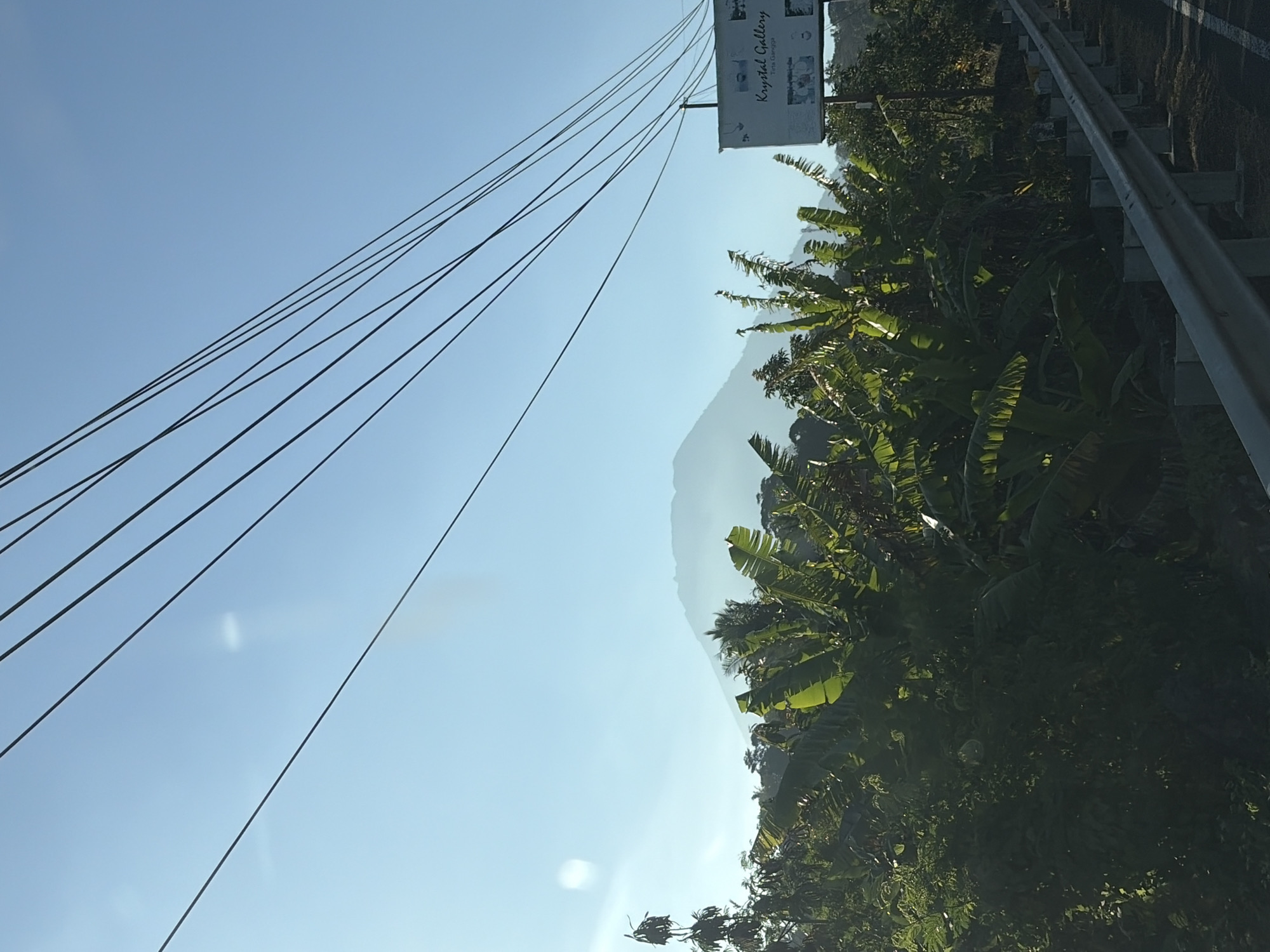 The image depicts a scenic view from the side of a road in Abang, Indonesia. In the foreground, a metal guardrail runs parallel to the road, with concrete posts supporting it. Dense green foliage, including large banana leaves, dominates the left and middle sections of the frame, with some trees appearing dry or dead. In the background, a hazy mountain range is visible against a clear blue sky. A white billboard with the text "Krystal Gallery" and "Tirta Gangga" is positioned on the right side of the frame, partially obscured by the foliage and a utility pole. Several dark electrical wires crisscross the upper portion of the image against the bright sky. The overall impression is a rural landscape bathed in sunlight, with signs of human infrastructure present.