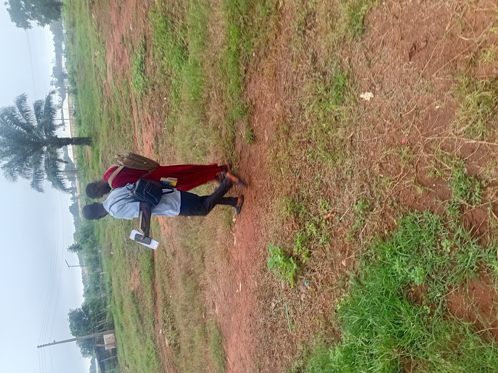 The image captures a slightly overcast day in Ogbogbo, Nigeria. Two young men are walking on a dirt path, surrounded by dry grass and patches of greener vegetation. The man in the foreground, wearing a light blue shirt and dark pants, carries a backpack and holds what appears to be a tablet or a large phone, along with some papers. He is looking down at the device. Behind him, a second individual, dressed in a bright red garment, also carries a backpack. They are walking away from the viewer, towards the background where a cluster of trees, including a prominent palm tree, and some buildings are visible in the distance. The ground is a mix of reddish-brown dirt and dry vegetation. The overall impression is of an outdoor scene in a rural or semi-rural area within Ogbogbo.