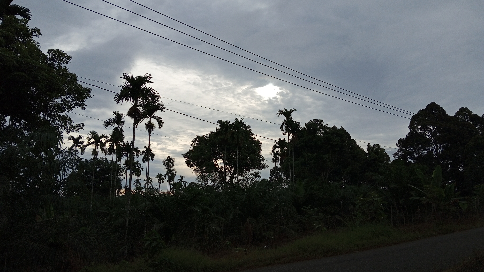 This image depicts a rural roadside scene in Meunasahuket, Indonesia, during a cloudy day. The foreground features a dark asphalt road running from the bottom right corner towards the left, bordered by a grassy verge. Beyond the verge, dense tropical foliage and numerous palm trees dominate the landscape. The trees are silhouetted against a dramatic sky filled with overcast clouds, with a break in the clouds allowing some sunlight to filter through. Power lines are visible strung across the upper portion of the frame, running horizontally from left to right. The overall impression is one of a tropical, perhaps humid, environment under a moody sky.