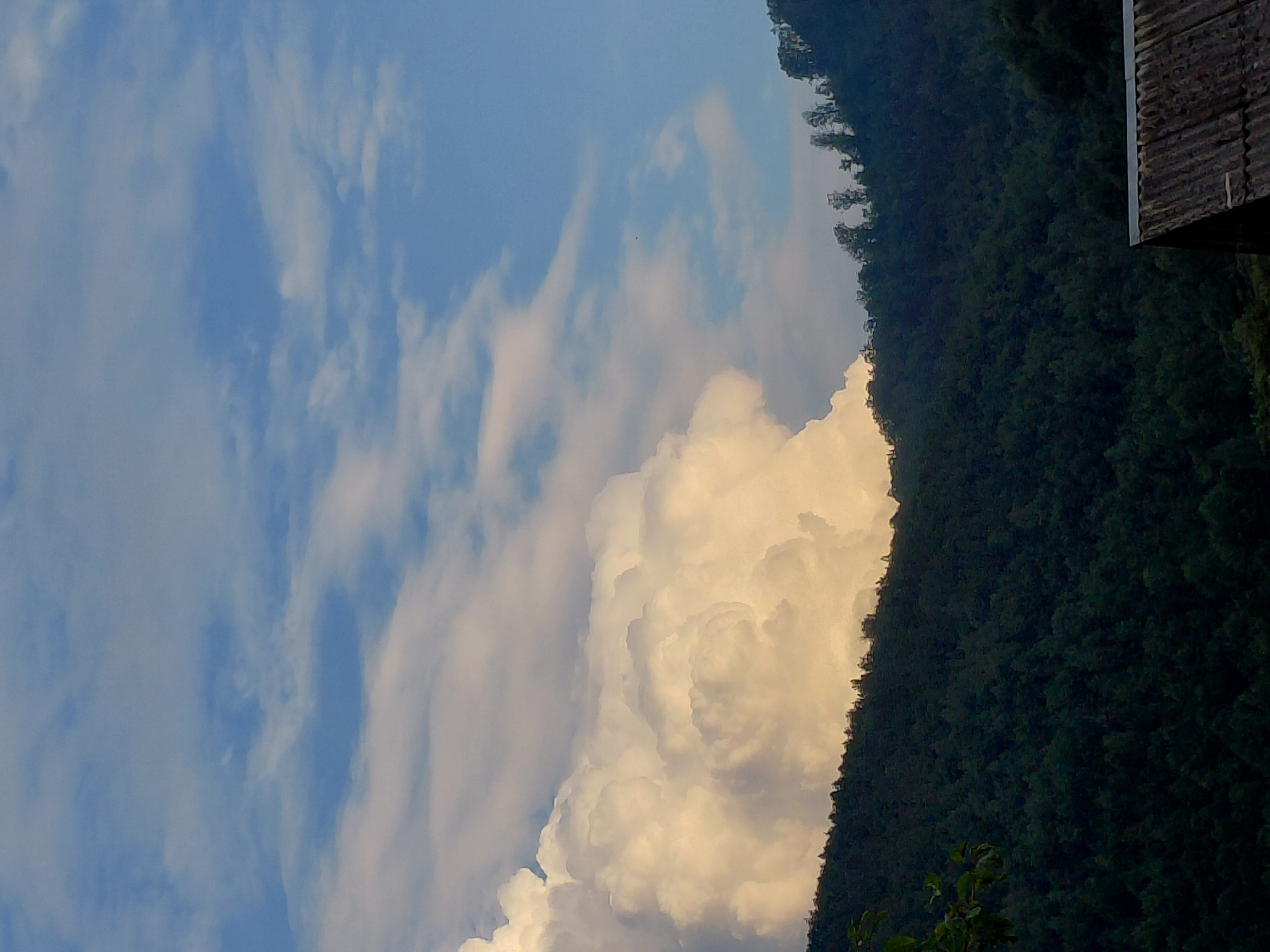 The image depicts a mountainous landscape under a partly cloudy sky. The foreground shows a dark green, densely forested mountain slope, with trees silhouetted against a backdrop of the sky and clouds. A portion of a weathered, corrugated metal roof of a structure is visible in the lower right corner. In the upper portion of the image, large, dramatic cumulus clouds are illuminated by sunlight, contrasting with the blue sky. The overall scene is natural and undeveloped, suggesting a rural or wilderness area. There are no people or animals visible in the frame.
