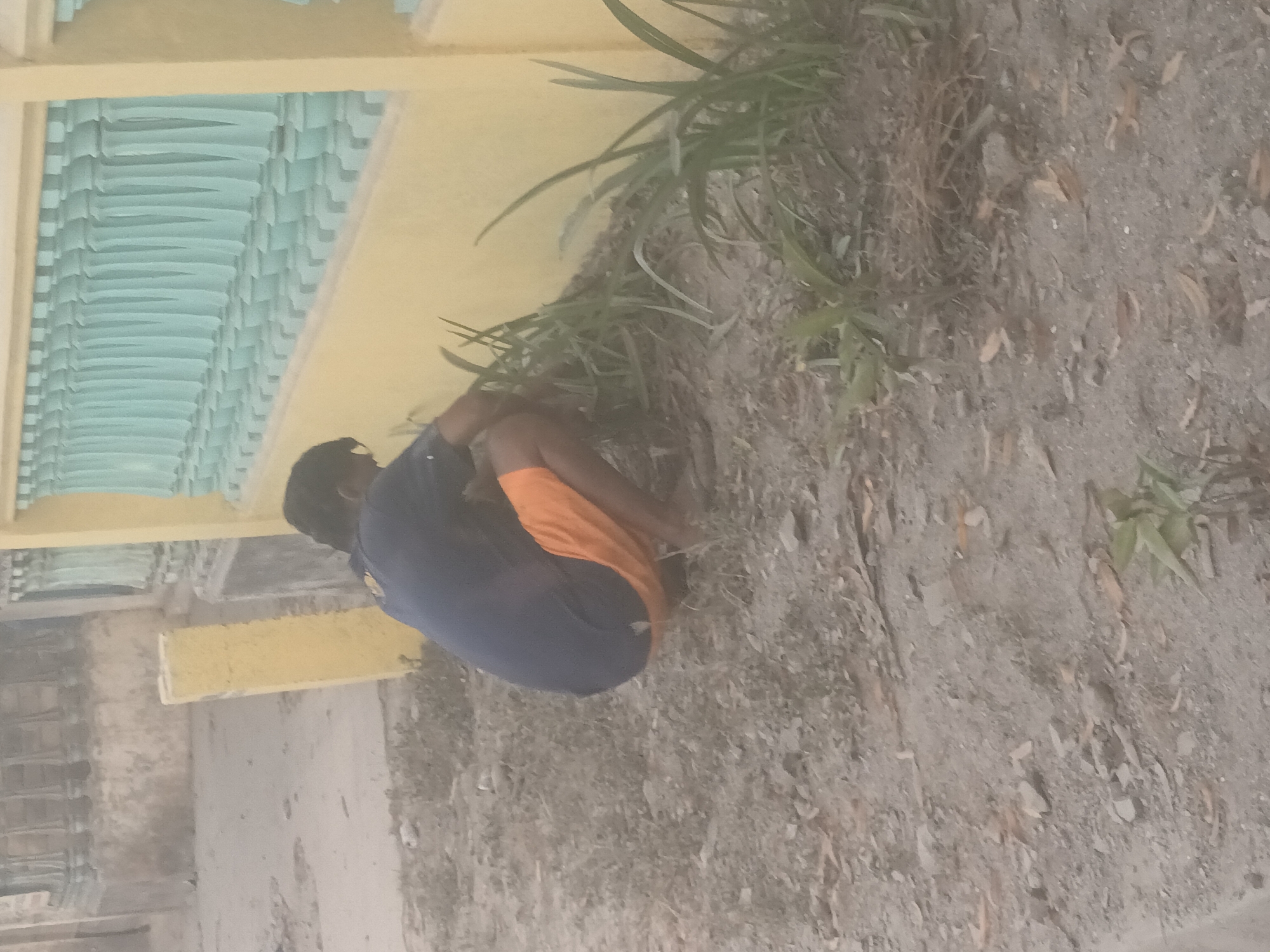 A person wearing a dark blue t-shirt and orange shorts is crouching on the ground, tending to some plants in front of a yellow wall with a turquoise balustrade. The ground is covered in dirt, small stones, and dry leaves. In the background, there is a blurry structure with a similar balustrade. The overall scene appears to be outdoors in what could be a residential area in Mulyo Asri, Indonesia.