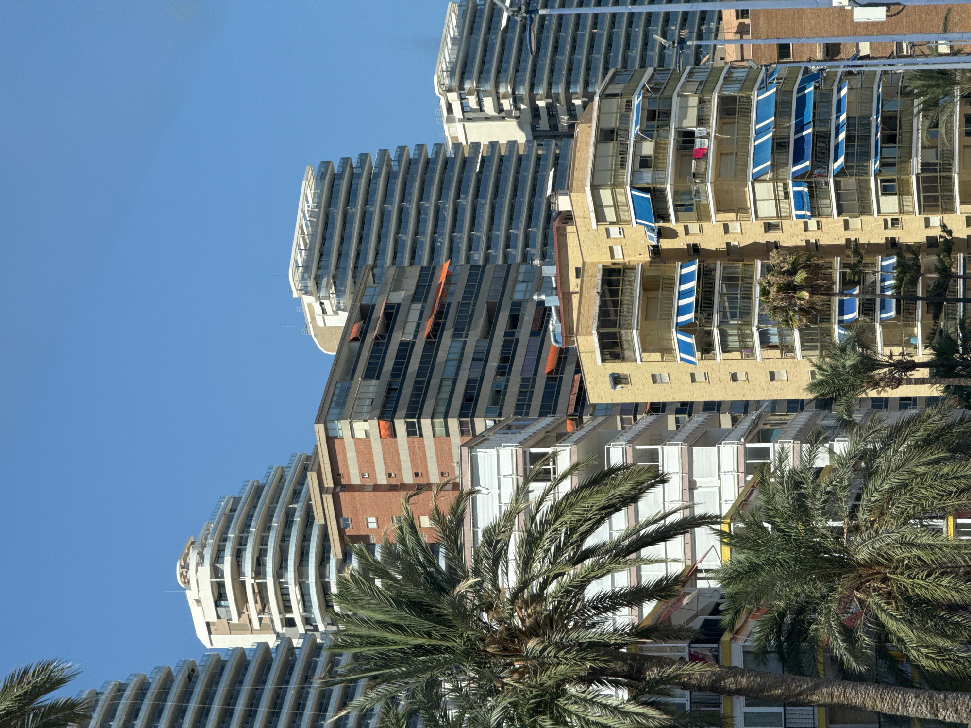 The image depicts a bright, sunny day in Benidorm, Spain, showcasing a dense urban landscape dominated by high-rise apartment buildings and lush palm trees. The buildings are a mix of modern and older architectural styles, with varying facade treatments. Some structures feature sleek, curved balconies with glass railings, while others have traditional brickwork and awnings. Numerous windows and balconies are visible, some adorned with colorful awnings, suggesting residential occupancy.
In the foreground, the fronds of several palm trees partially obscure the lower portions of the buildings, adding a tropical element to the scene. The sky is a clear, vibrant blue, indicating good weather. The overall impression is one of a densely populated coastal city, likely a popular tourist destination, with a focus on apartment living and a Mediterranean climate. No people are clearly visible in the image. The perspective is from street level, looking up at the imposing structures.