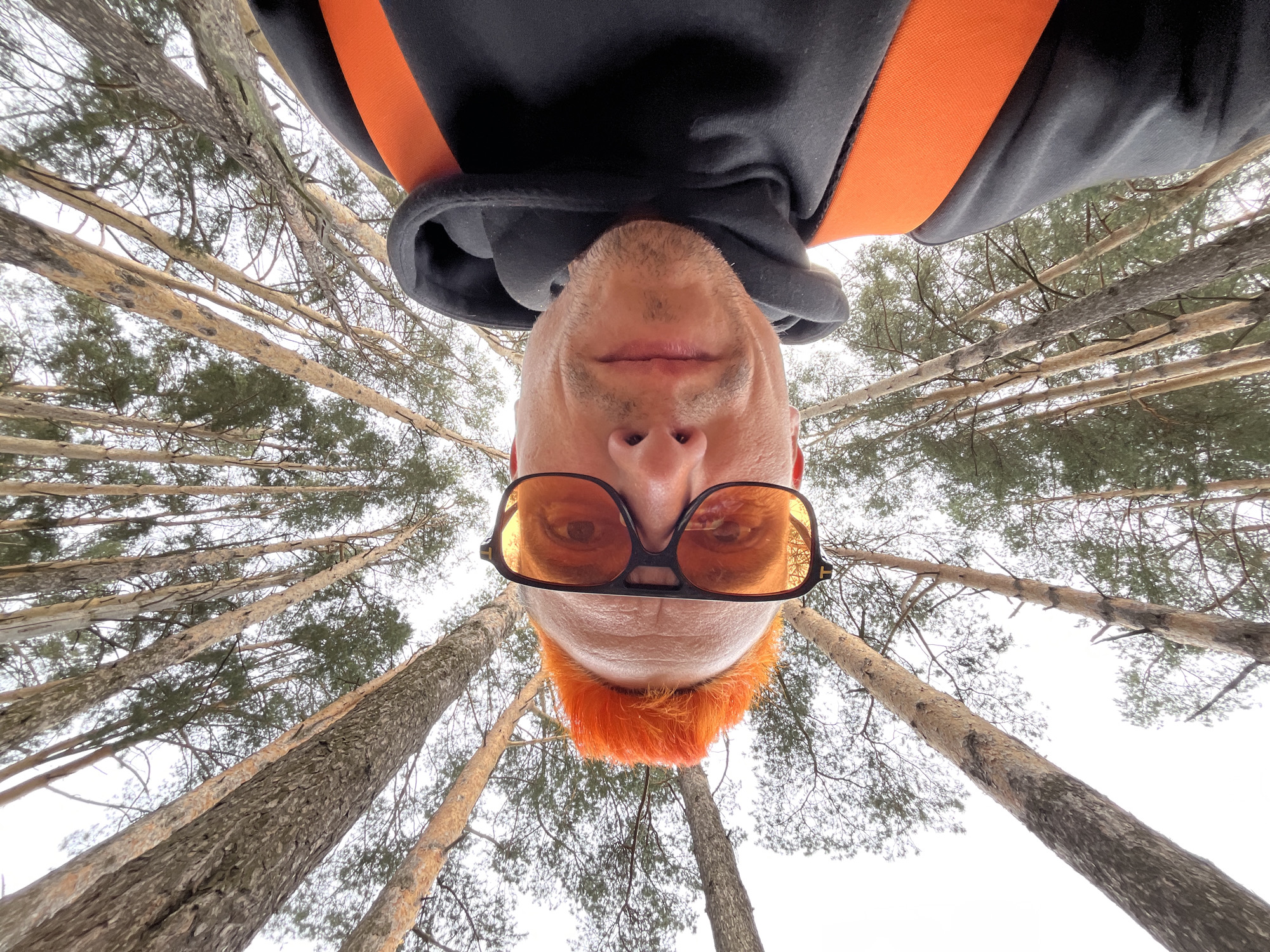 A low-angle selfie of a man with orange hair, wearing orange-tinted glasses, is taken from a standing position and pointing directly upwards. The man wears a gray hoodie with orange stripes. The background consists of tall, thin pine trees reaching toward an overcast sky. The photograph was taken in the city of Chaikovsky, Russia.