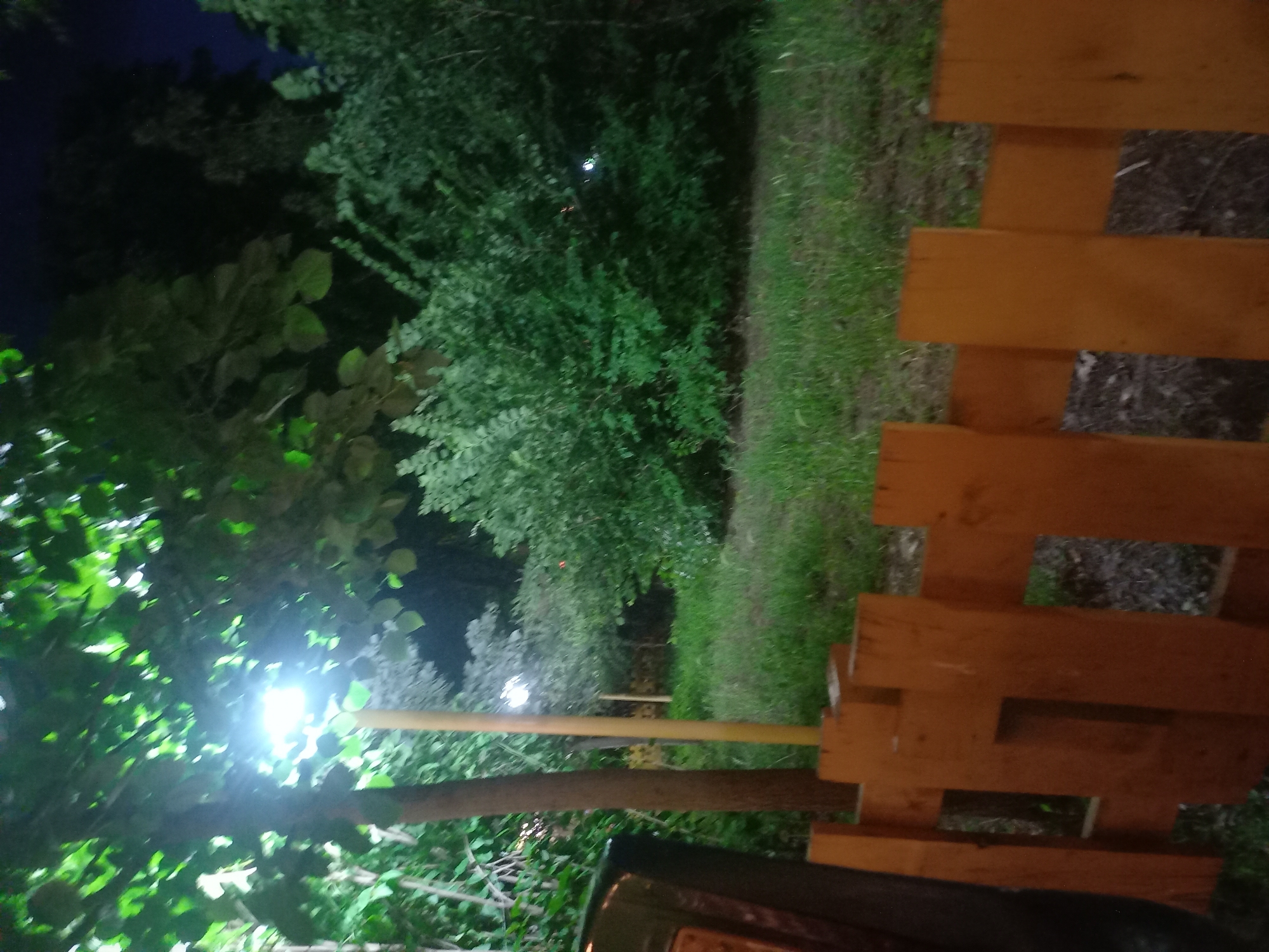 The image displays an outdoor night scene in the city of Parvomay, Bulgaria. In the foreground, an orange-brown wooden fence with horizontal planks and vertical supports extends across the lower portion of the frame. To the immediate left of the fence, a dark, unidentifiable object, possibly a part of a vehicle or structure, is partially visible. The ground directly behind the fence appears to be dark soil with minimal vegetation.
In the midground, a slender, brown tree trunk rises on the left side. To its right, a bright, white artificial light source, likely a lamp, is mounted on a yellowish-tan pole, casting significant glare and illuminating the surrounding area. Beyond the light pole, a section of green grass is visible. Further back, the scene is dominated by dense green bushes and trees, forming a thick line of foliage.
The background consists of more dark green trees and dense shrubbery. The upper right corner of the image reveals a dark blue-black night sky. There are no individuals or animals present in the scene, and no specific actions or interactions are depicted.
