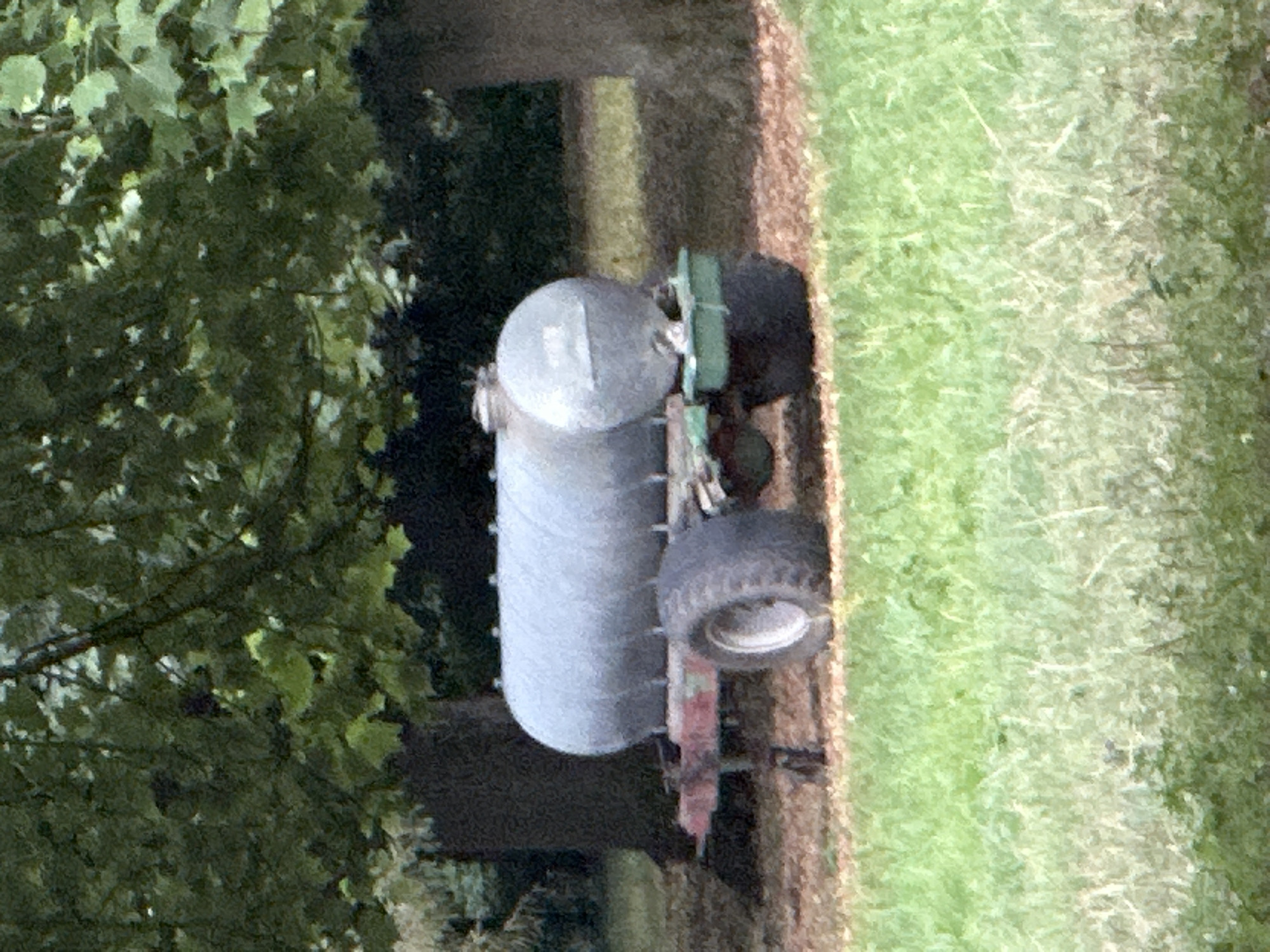 The image depicts a large, cylindrical, grey water tank on a red trailer with two tires. The trailer is situated on a dirt and grass area beneath the canopy of a large tree with green leaves. The tank is silver and appears to be made of metal. There is a green attachment on the right side of the tank. The background consists of dark green foliage and tree trunks. The scene is set outdoors during daylight. The specific location in the city of Günzburg, Germany, is not discernible from the image itself.