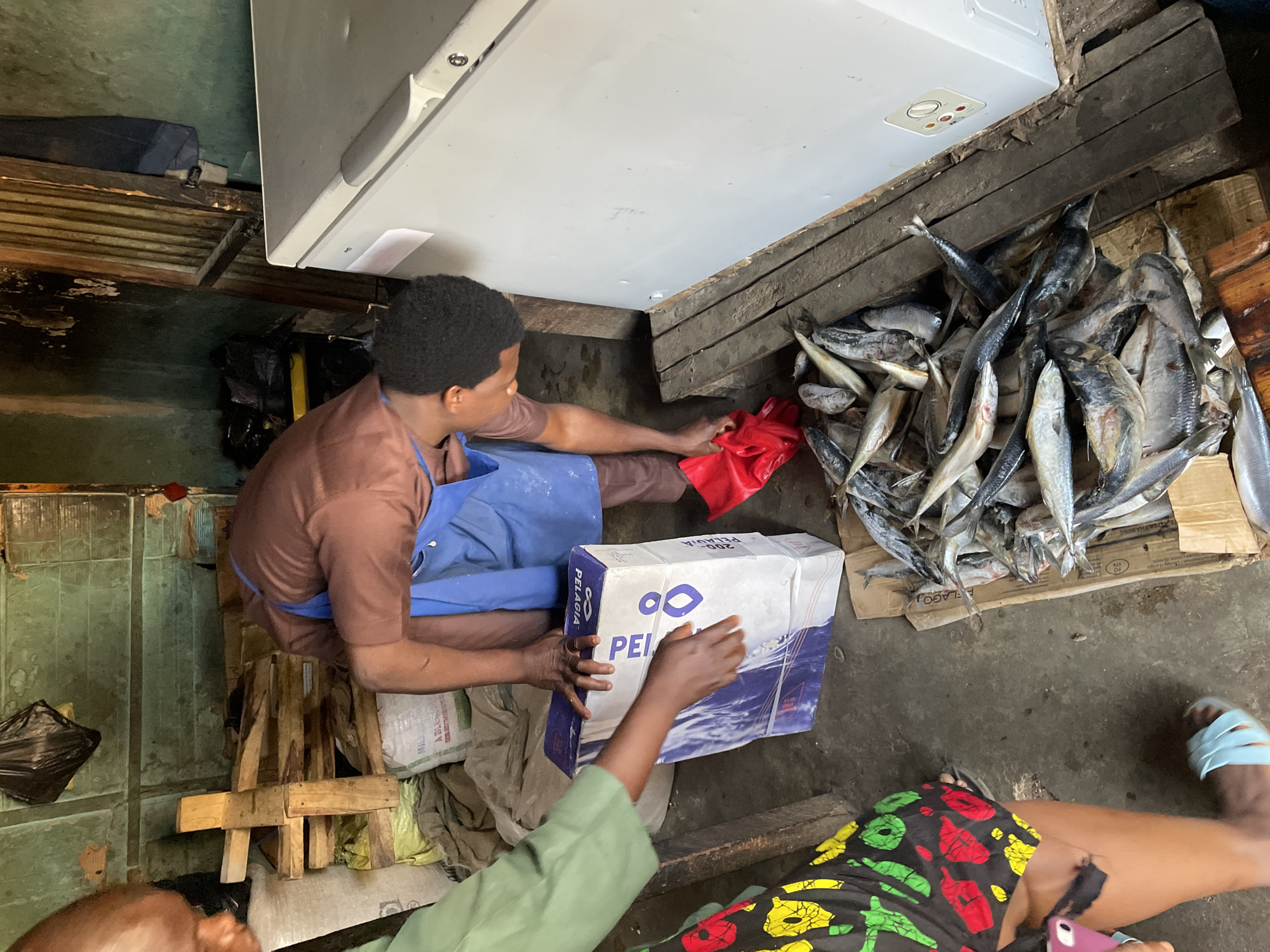 The image depicts a scene in Jos, Nigeria, likely a fish market or similar establishment. A person wearing a brown shirt and blue apron sits on a small wooden stool, reaching into a pile of fish next to a white chest freezer. The fish appear to be a mix of silvery and darker varieties, piled on a wooden platform. Another individual, wearing a green shirt and patterned skirt, is holding a white and blue box labeled "PELAGIA," seemingly offering it to the seated person. The environment appears utilitarian, with bare concrete floors and basic wooden structures. The lighting is diffuse and appears natural.