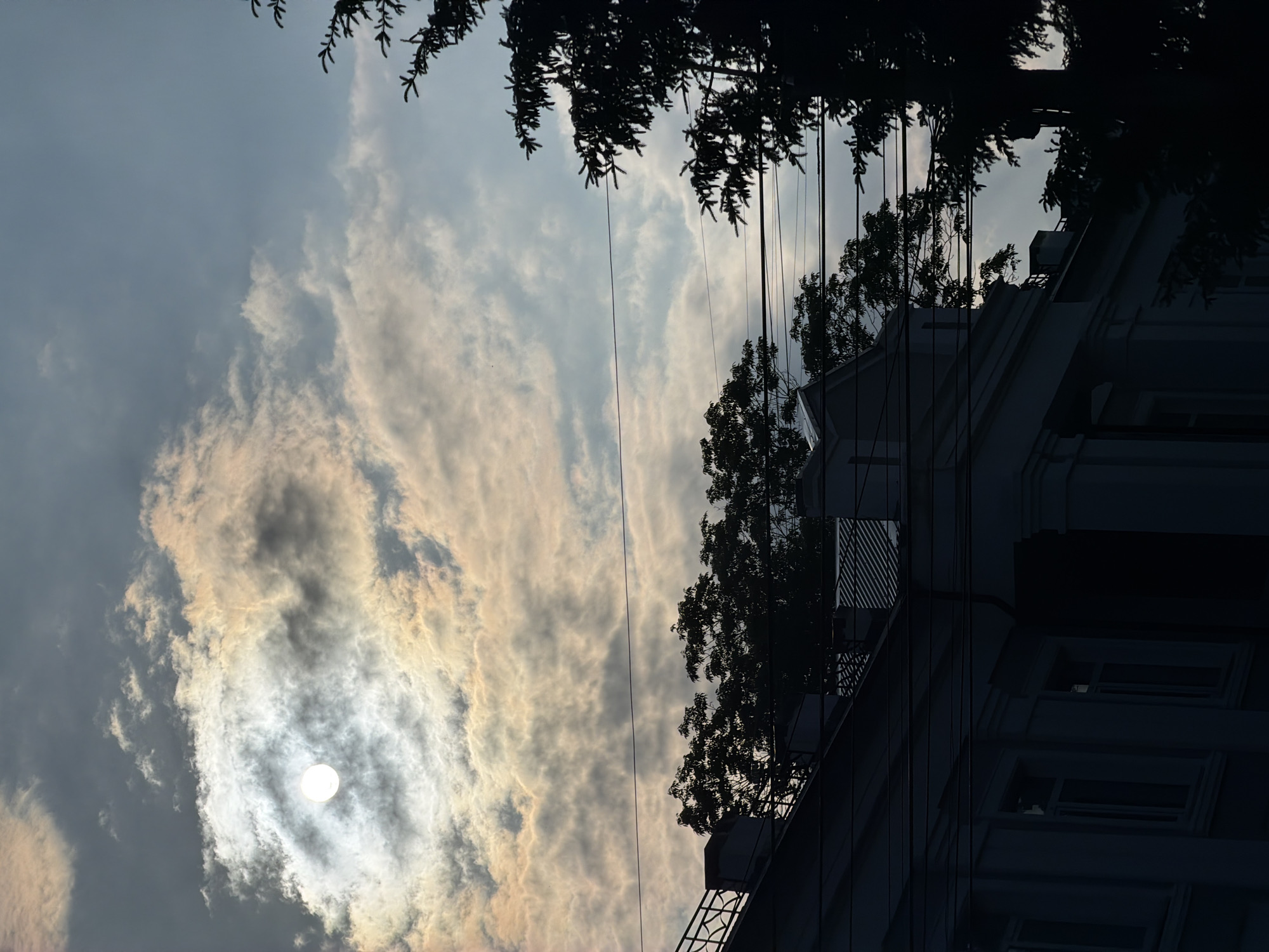 This is a vertical, eye-level, medium shot of a cloudy sky over a city building and trees. The sun is partially obscured by clouds, creating a luminous effect in the upper left quadrant of the image. The clouds are varied in texture and color, ranging from dark grey to light pink and white, with some appearing wispy and others more dense. Several power lines crisscross the frame horizontally. In the foreground, the silhouetted upper floors of a building are visible, characterized by its light-colored facade, prominent cornices, and windows. Trees, also silhouetted, are positioned between the building and the sky, with one large evergreen tree dominating the right side of the frame. The overall impression is one of an overcast day with the sun attempting to break through the clouds, casting a dramatic, somewhat muted light on the urban landscape.