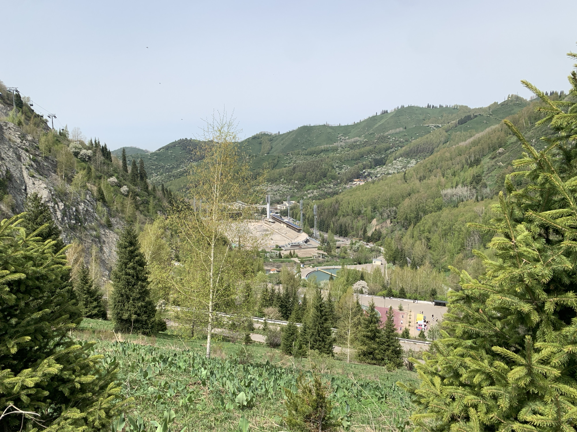 The image presents a medium-distance, daytime view of the Medeu Ice Rink and surrounding mountainous terrain in Almaty, Kazakhstan. The foreground is dominated by lush green vegetation, including broadleaf plants and coniferous trees. A winding road separates the foreground from the Medeu complex. In the middle ground, the Medeu Ice Rink's buildings and stands are visible, along with a few other structures and bridges. The background features rolling green hills and mountains under a clear sky, with ski-lift infrastructure on the left side of the image and the high-altitude sports complex.