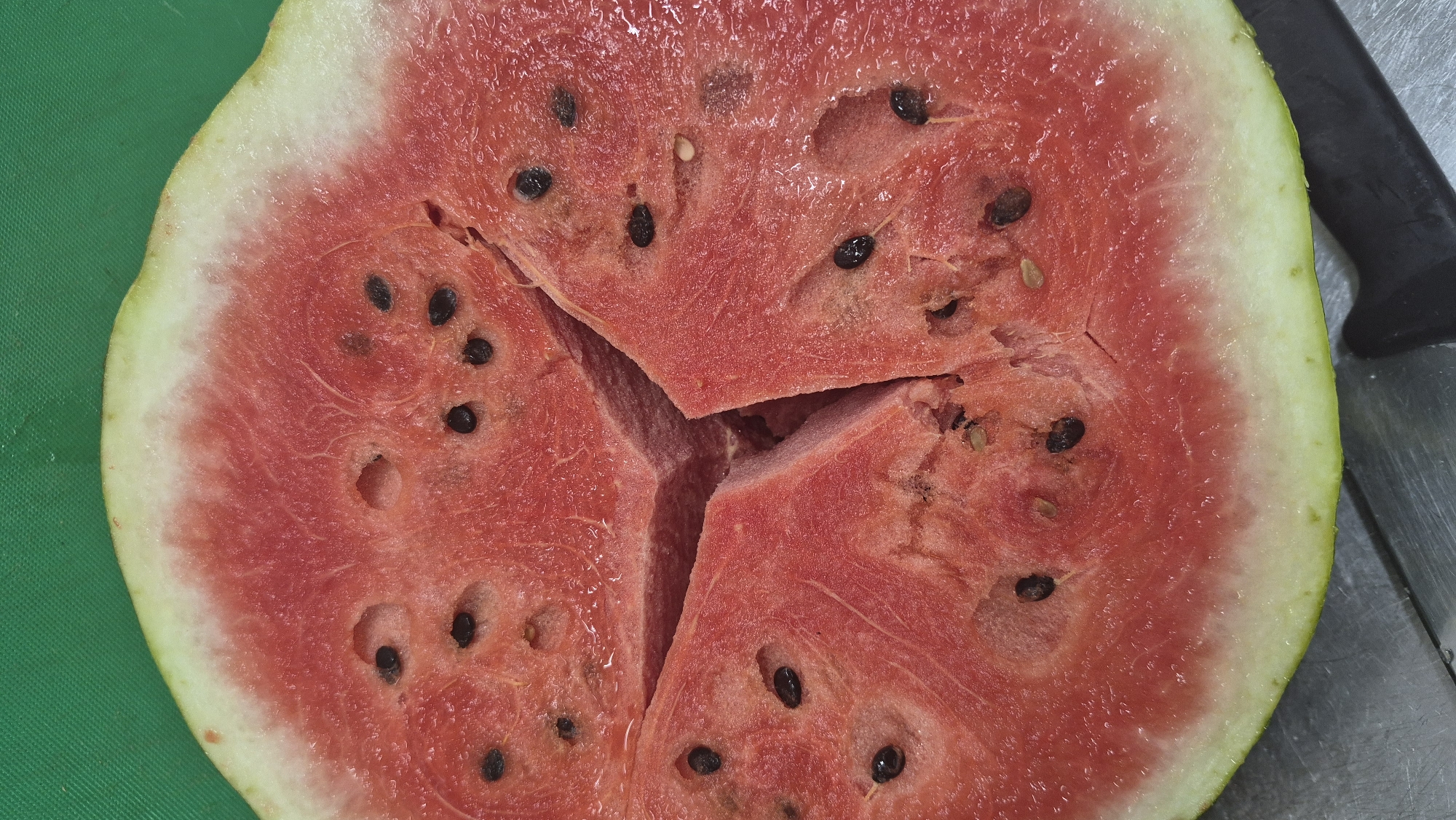 A close-up, overhead view captures a sliced watermelon on a metallic surface, with a green textured background above. The watermelon, cut into three sections, reveals its bright red flesh speckled with black seeds. A slight white rind encircles the fruit. A black-handled knife rests partially visible at the bottom right corner, suggesting a recent preparation or serving. The scene is well-lit, highlighting the textures and colors of the fruit. There is no visible indication of the city of Daugavpils, Latvia, or any people.