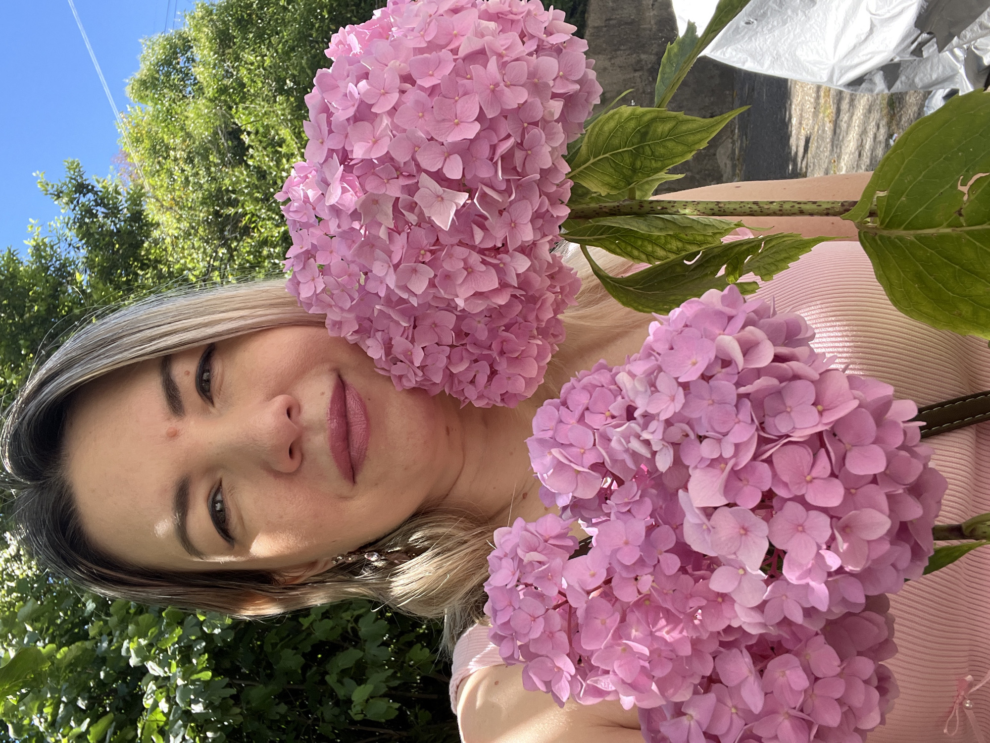 A woman with blonde hair and fair skin, wearing a pink top, holds two pink hydrangeas in front of her. Her right hand is holding the stem of the larger hydrangea. She is positioned outdoors with green trees and a bright blue sky in the background. The lighting suggests it is daytime. There is a white tarp visible in the lower right corner of the image. The scene appears to be in an outdoor setting.