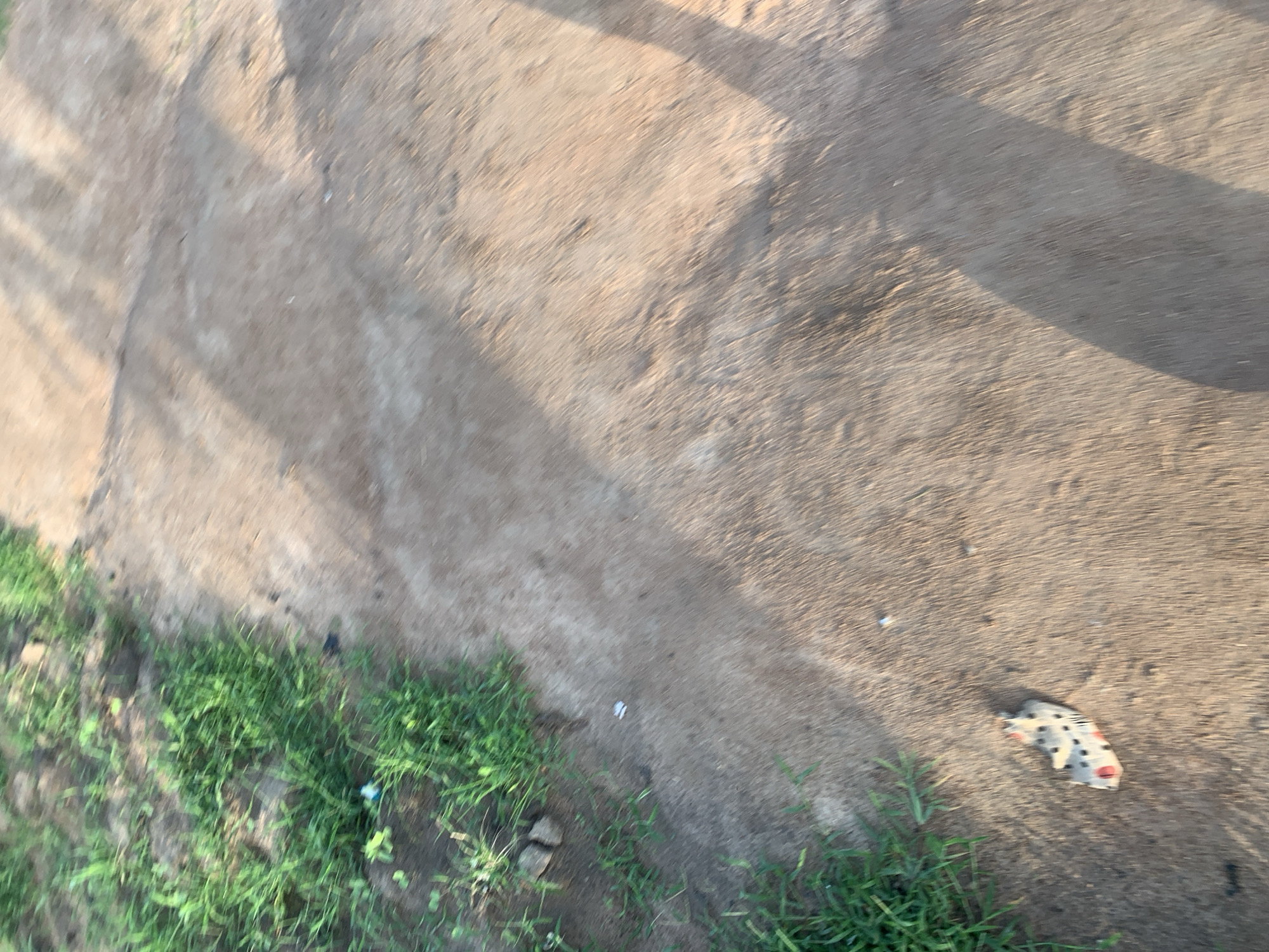 The image depicts a close-up, slightly blurred view of a dirt and concrete path in Jalingo, Nigeria. The scene appears to be outdoors, with patches of green grass growing along the edge of the path. A single, small, discarded object with a black and white spotted pattern and hints of red is visible on the right side of the frame, lying on the concrete. Shadows cast across the ground suggest it is daytime, likely morning or late afternoon, given the angle of the light. The overall impression is one of a simple, everyday scene, possibly a roadside or a less-maintained walkway. There is no visible text in the image.