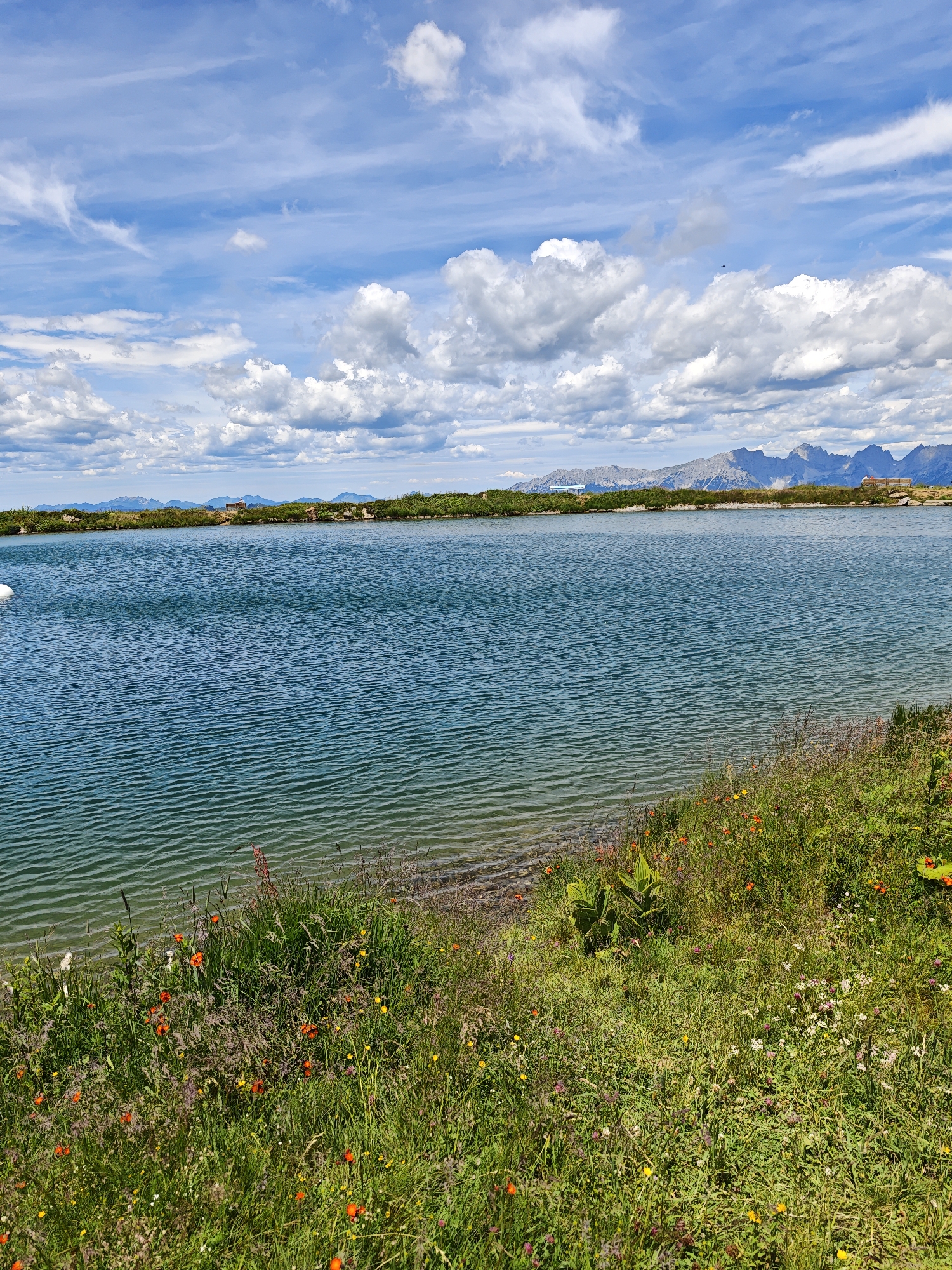 A scenic, wide-angle shot captures a tranquil mountain lake under a bright blue sky adorned with scattered white clouds. The foreground is a vibrant expanse of green grass and wildflowers, with pops of red, orange, and yellow adding color to the lush meadow. The lake, a deep blue, occupies the majority of the frame, its surface rippled by a gentle breeze. In the distance, a low, green shoreline separates the lake from a range of majestic, blue-tinged mountains, their peaks softened by atmospheric haze. On the far shore, a few small structures are visible, hinting at human presence in this serene natural setting. The overall impression is one of serene beauty and natural grandeur. The image is likely a photograph taken in the vicinity of Kirchberg in Tirol, Austria, known for its stunning alpine landscapes.