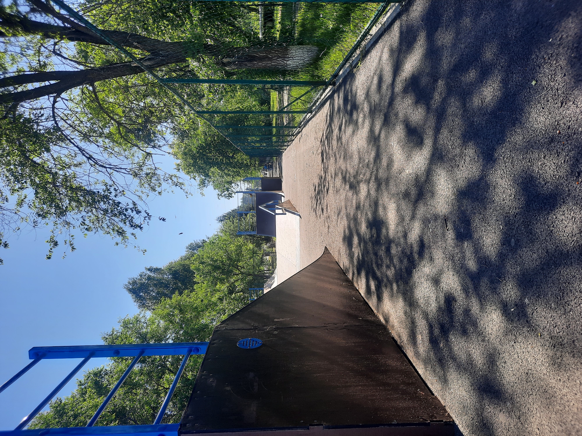 The image shows an outdoor skate park on a sunny day. In the foreground, a dark, textured surface, likely asphalt or rubberized material, is covered with dappled shadows cast by overhead trees. To the left, a section of a dark-colored ramp with blue railings is visible. Beyond the ramp, the skate park features a concrete or smooth paved area with various ramps and obstacles. A green chain-link fence runs along the right side of the image, separating the skate park from a grassy area with trees. The sky is clear and blue. The scene suggests a recreational area within a park or urban green space, likely in Зеленогорский, Russia, given the context provided. No people are present in the image.