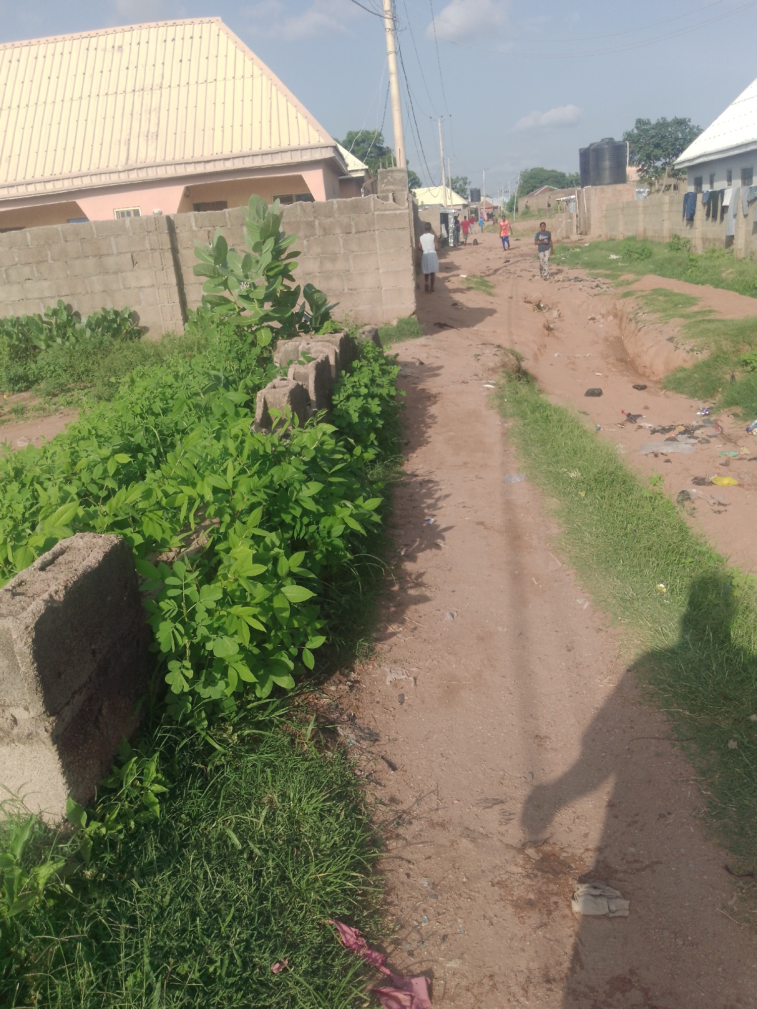 The image depicts a dusty, unpaved road in Jalingo, Nigeria, with several residential buildings and a water tank visible. The road is lined with grass and vegetation on both sides, and there is evidence of litter scattered along the path and in a drainage ditch. Several individuals, including children, are seen walking along the road in various directions. One person is standing near a building with laundry hanging outside. The buildings appear to be constructed with concrete blocks and corrugated metal roofs. The sky is overcast, suggesting a possibly humid or rainy climate. The overall impression is of a typical residential area in a developing urban environment.