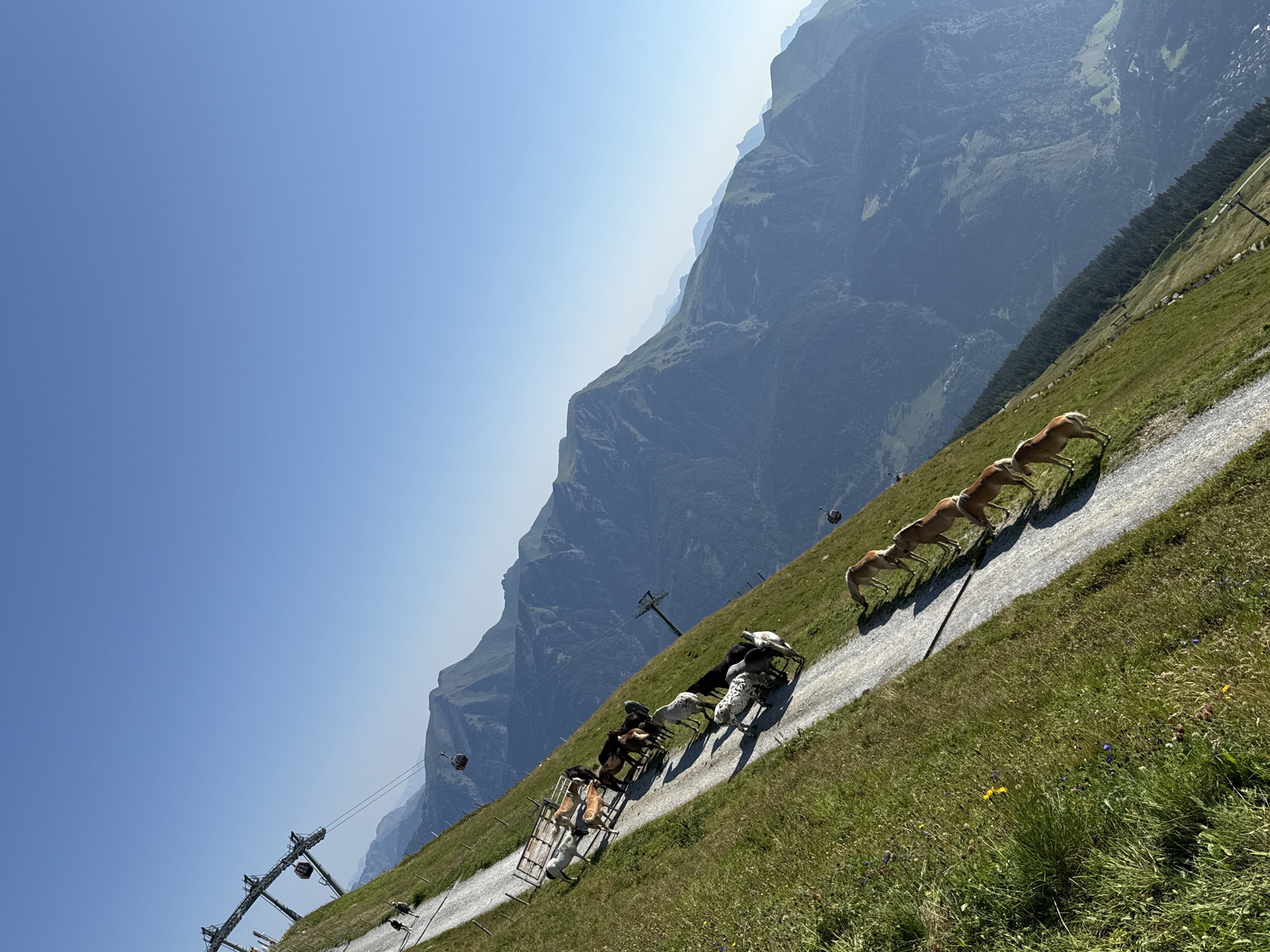 In Böckstein, Austria, a herd of horses is seen on a mountain path. The path, lined with grass, slopes downwards, with mountains visible in the background. Two people walk along the path in the distance, and a ski lift is visible overhead. Some of the horses are light brown, while others are white and spotted. They are standing on the gravel path and in the grass beside it. The sky is clear and blue.