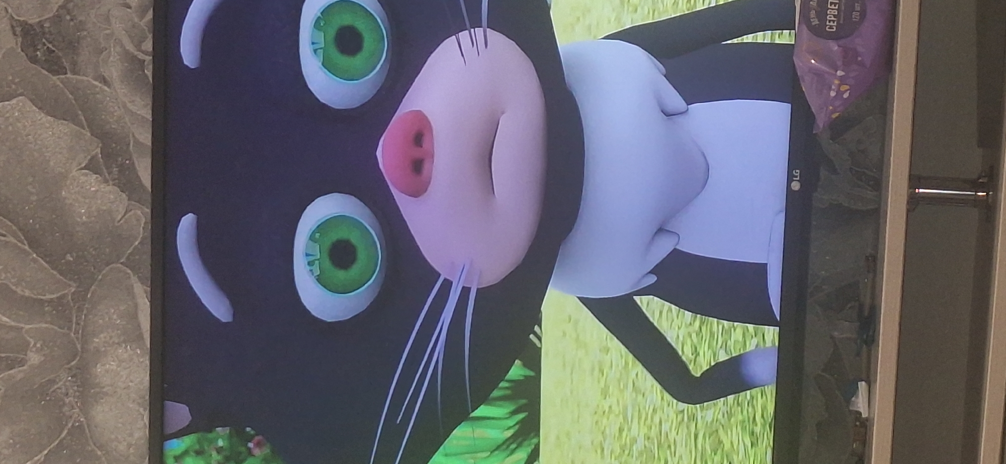 The image is a close-up of a television screen displaying a cartoon of a black cat with large green eyes, a pink nose, and white whiskers. The cat is wearing a white collar and has a white chest. The background on the screen shows a green, grassy area with some foliage. Below the television screen, there is a shelf with some objects, including a purple package with text in Cyrillic. The television itself has an LG logo visible on its bottom right corner. The background behind the television appears to be a textured wallpaper. The scene is indoors, and the lighting suggests it is not daytime. There is no information in the image to determine the location in Bila Tserkva, Ukraine.