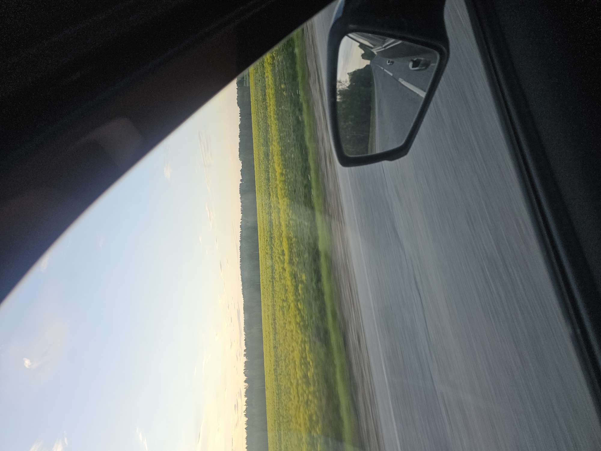 The image is taken from inside a moving vehicle, likely a car, and shows the view from the passenger side window. The sky is visible to the left, transitioning from a pale blue to a light yellow hue near the horizon, possibly indicating sunrise or sunset. Adjacent to the sky is a field of bright yellow flowers, potentially rapeseed or sunflowers, extending to a line of trees.
To the right of the field, a road stretches into the distance. The side mirror of the vehicle is visible, reflecting the road behind the car. A second vehicle is faintly visible in the side mirror.
The location is mentioned as Kirillovka, Russia, implying the photograph was taken near this city, but it is not possible to be more specific based on the visual information.