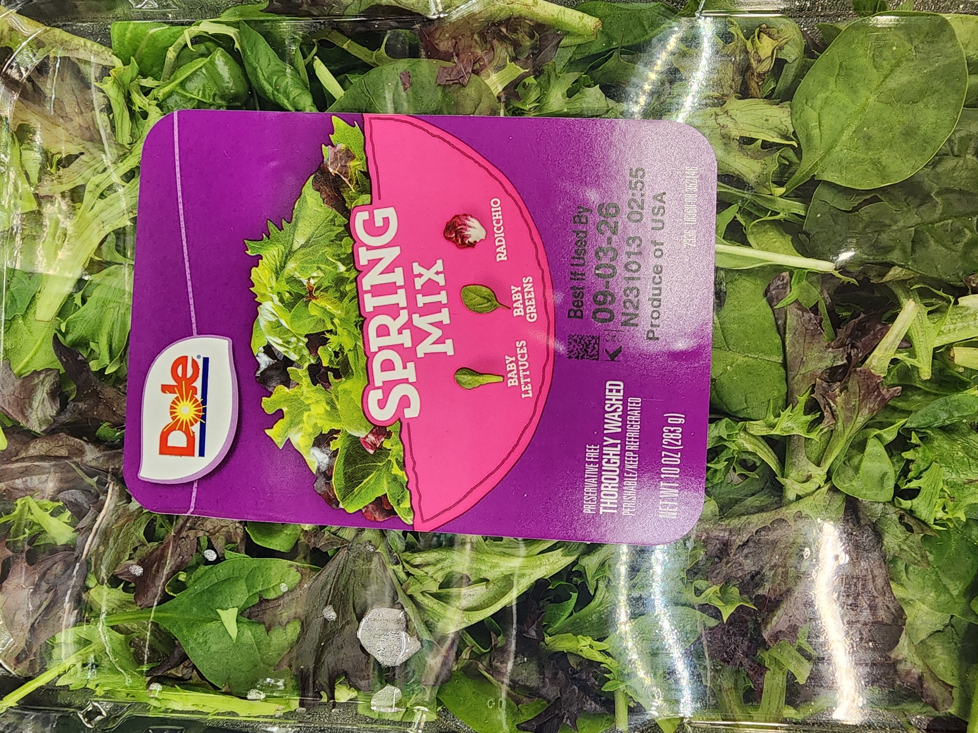 The image displays a close-up of a plastic container filled with Dole Spring Mix salad. The container is positioned on a surface, possibly a grocery store shelf. A purple label with a pink section covers the front of the container, featuring the Dole logo, an illustration of salad greens, and text indicating "SPRING MIX," "BABY LETTUCES," "BABY GREENS," and "RADICCHIO." Below this, the label provides information about the product being "PRESERVATIVE FREE," "THOROUGHLY WASHED," and "PERISHABLE/KEEP REFRIGERATED," along with the net weight of "10 OZ (283 g)." Further down the label, a "Best If Used By" date of "09-03-26" is visible, followed by a product code and "Produce of USA." The background shows the salad mix within the clear plastic packaging. The image was captured in Camp Hill, United States of America, as indicated by the metadata. There are no people or discernible actions in the image.