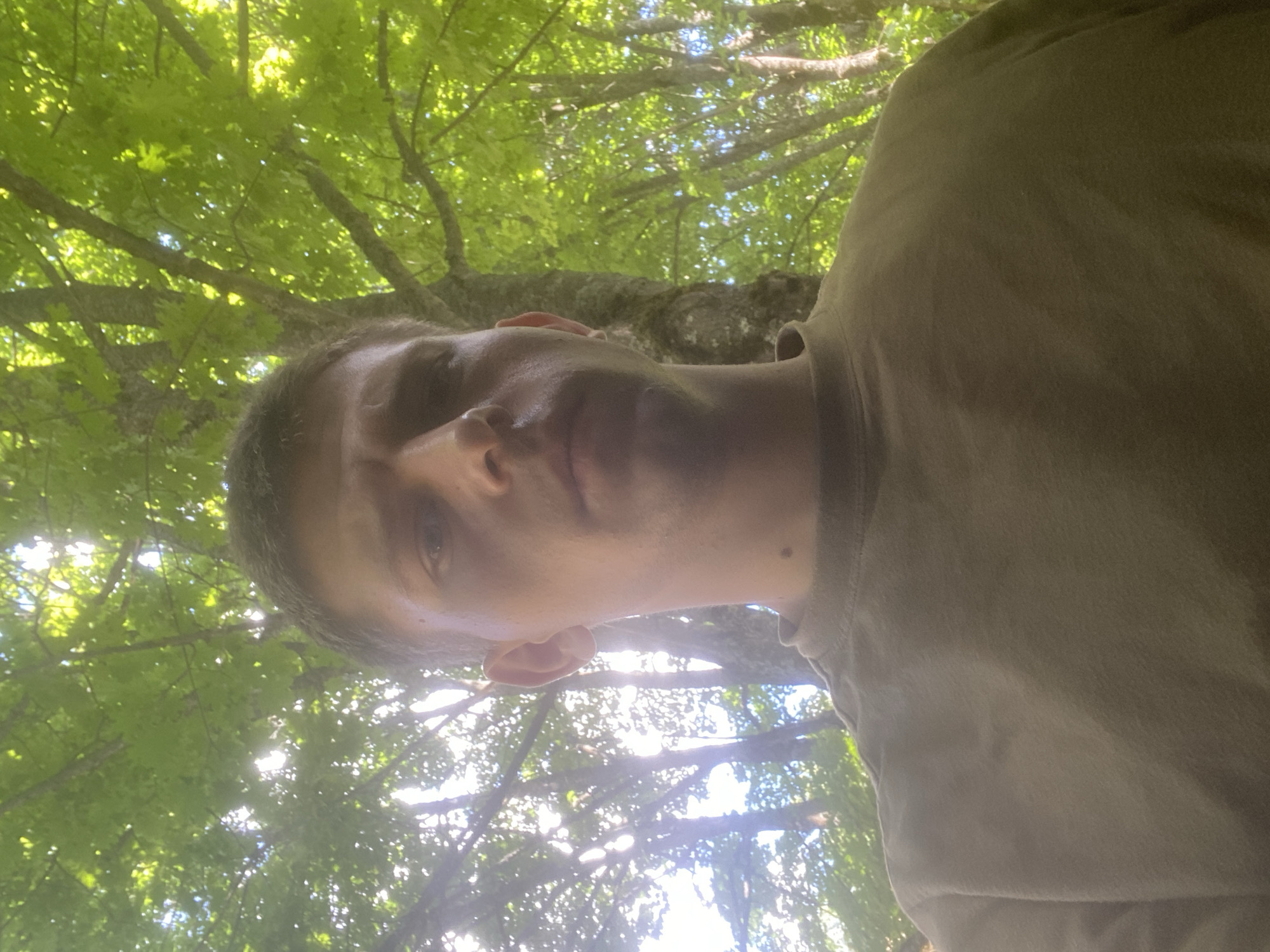 A man is standing outside under a canopy of green leaves. The man is wearing a brown t-shirt. The leaves are lit by sunlight, giving the scene a bright, natural appearance. The background is a forest with a lot of trees. The man is looking at the camera. The location is unknown.
