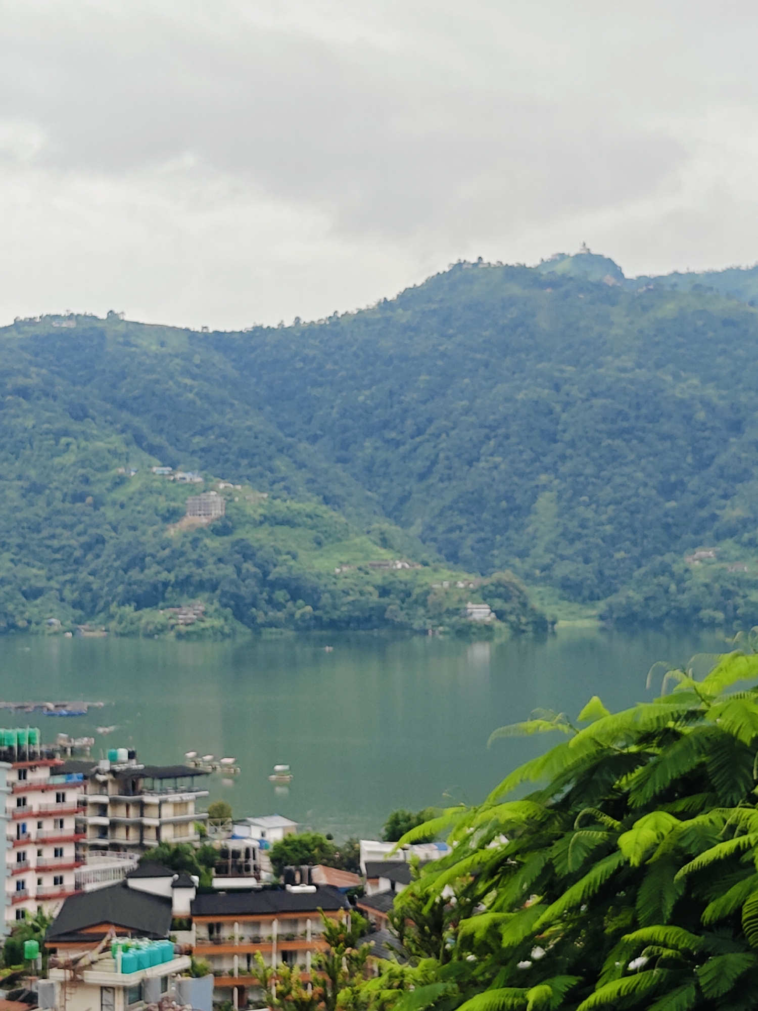 The image depicts a panoramic view of Pokhara, Nepal, focusing on Phewa Lake and the surrounding hills. In the foreground, lush green foliage, possibly from large ferns, partially obscures the view of the cityscape. A cluster of buildings, likely hotels and residential structures, are visible along the shore of the lake. These buildings are of varying heights and architectural styles, with many featuring balconies and flat roofs. Some structures have white facades with colorful accents, while others are darker.
Phewa Lake itself occupies a significant portion of the mid-ground. The water appears calm and reflects the overcast sky. Several small boats are scattered across the lake, some appearing to be traditional wooden boats and others possibly kayaks or paddle boats. Floating structures, possibly rafts or platforms, are also visible on the water's surface near the buildings.
The background is dominated by verdant hills covered in dense forestation. The slopes are steep and rise majestically towards the horizon. On the crest of one of the prominent hills, a white structure, likely a stupa or monument, is faintly visible against the cloudy sky. The sky is overcast with soft, diffused light, suggesting a cloudy or hazy day. The overall impression is one of a scenic, tranquil lakeside city nestled amidst natural beauty. There are no visible people in the image.