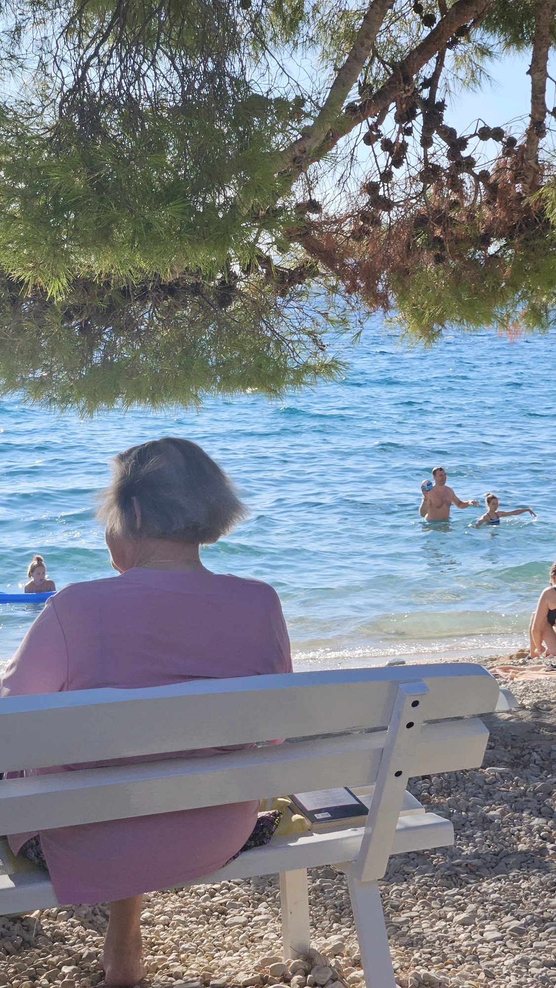 In Općina Tučepi, Croatia, this image captures a tranquil beach scene. A woman, seen from behind, sits on a white wooden bench, facing the sea. She is wearing a pink t-shirt and appears to be enjoying the view. Under the bench, a book and a yellow object are visible. The beach is covered in pebbles. In the shallow water, several people are present. A man in the sea is holding a blue ball, and a young girl is near him, with her arm outstretched. Further to the left, another young girl is visible on an inflatable object. The sea is calm and blue, with sunlight reflecting off its surface. Above the scene, a tree with green needles and pinecones overhangs, providing some shade. The sky is clear and blue.