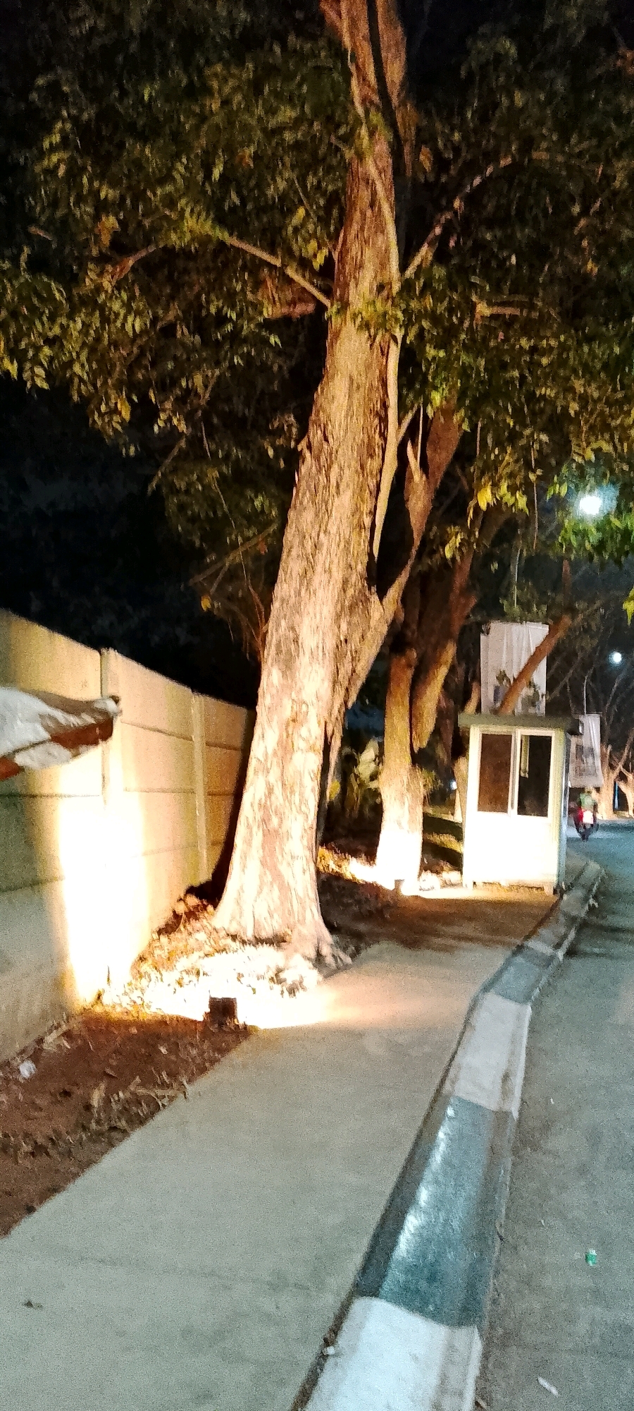 The image depicts an outdoor scene at night, illuminated by artificial lighting. In the foreground, a paved walkway runs alongside a road with a curb. Several large trees with thick trunks and leafy canopies are prominent, their bases illuminated by spotlights. To the left, a concrete wall is visible, also lit from below. In the mid-ground, a small, white security booth with glass windows stands near the trees. In the background, the scene appears to extend further with more trees and structures, suggesting a public area or park. There is a slight blur in the image, possibly due to low light conditions or camera movement. No individuals are clearly identifiable, though a faint light streak on the road to the right suggests the possibility of a passing vehicle. The environment appears to be well-maintained, with the lighting highlighting the natural and man-made elements of the scene. This image is located in Satriamekar, Indonesia.