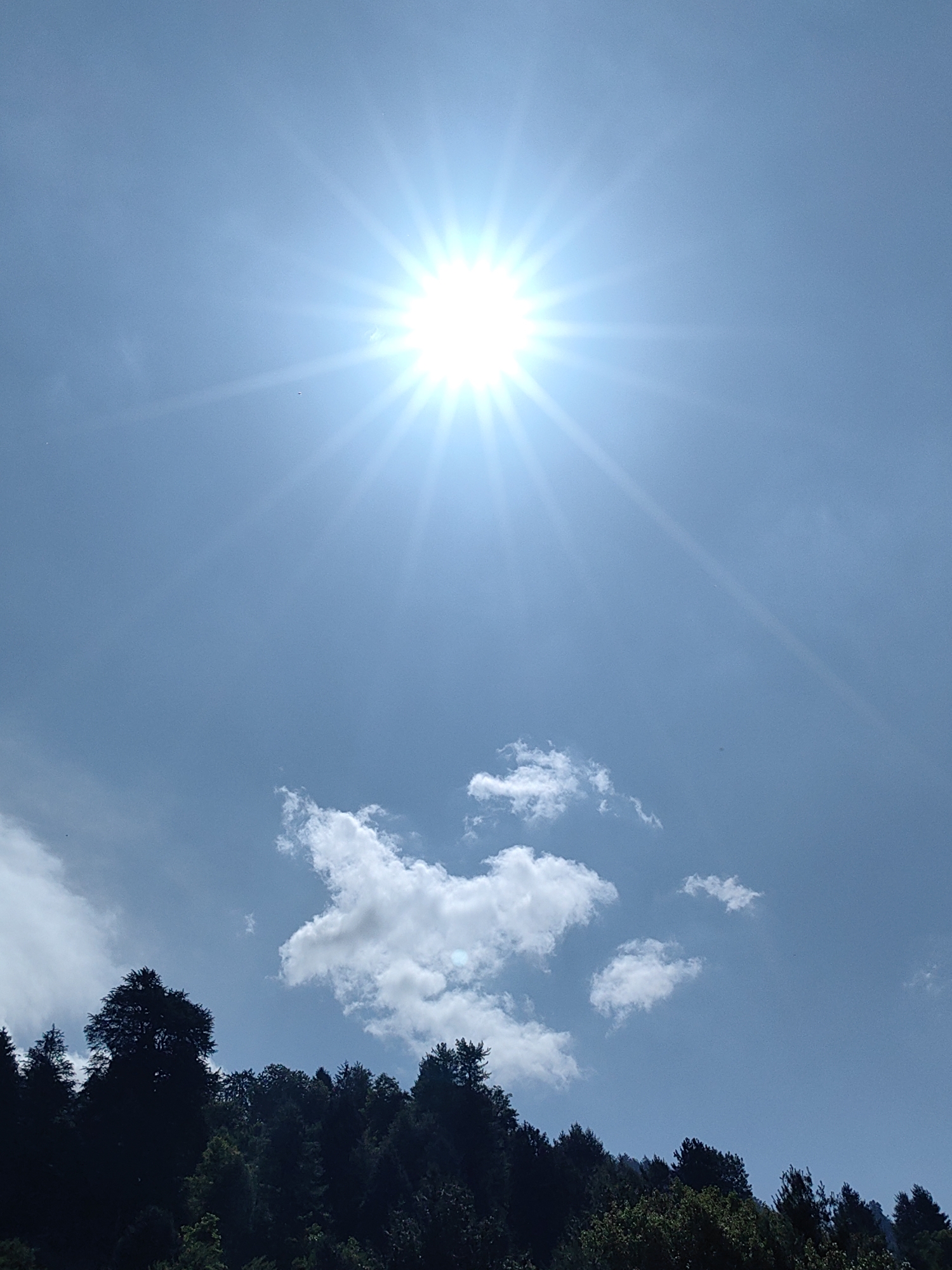 In Vashisht, India, a bright sun with prominent rays dominates the upper half of the image against a clear blue sky. Below the sun, scattered white clouds drift. The lower portion of the image features a dense, dark silhouette of a forest with various tree shapes, suggesting a mountainous or hilly terrain. The lighting indicates it is daytime, likely midday due to the sun's high position.