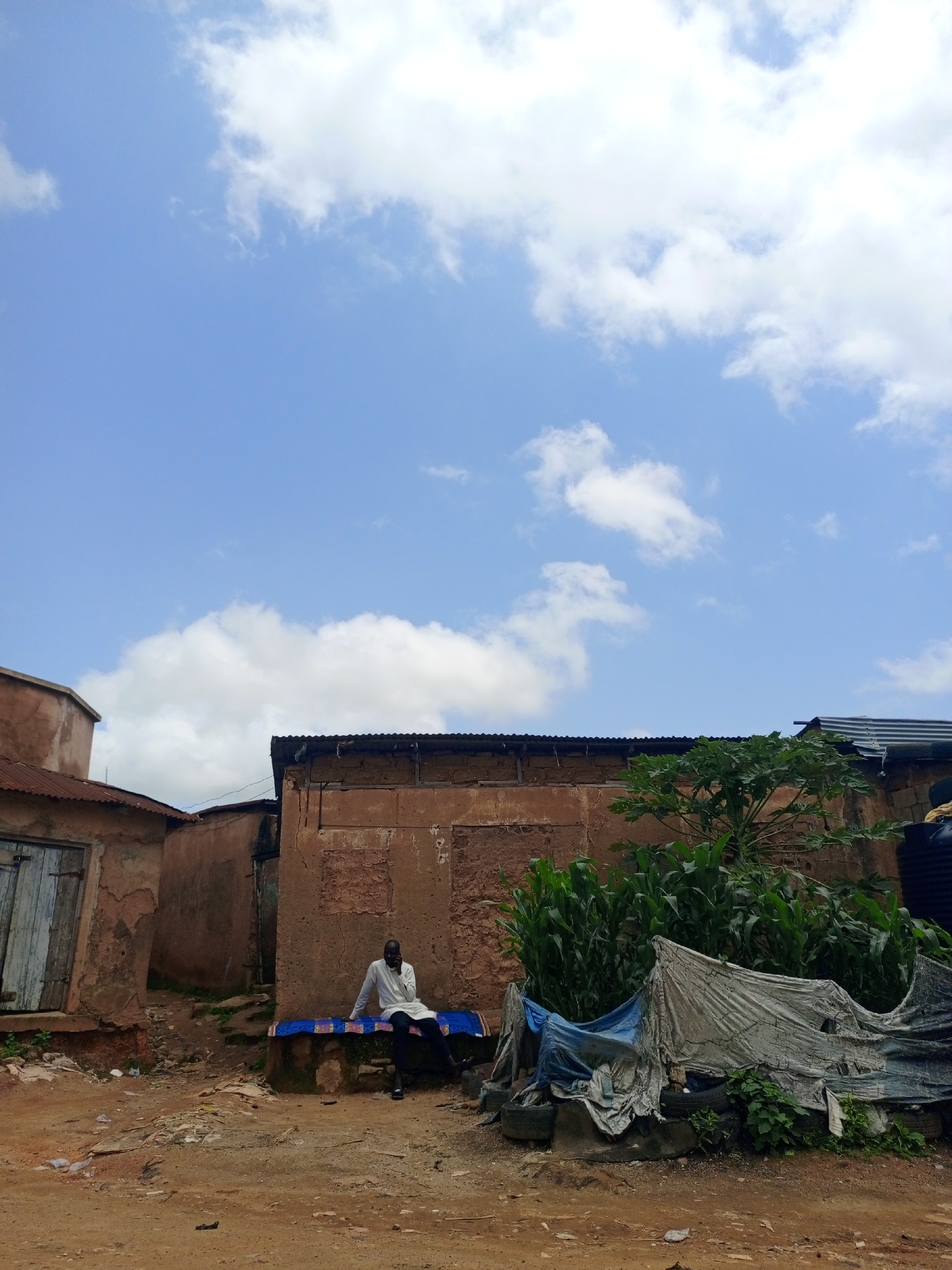 In the city of Jos, Nigeria, under a bright blue sky with scattered white clouds, a man in a white shirt and dark pants sits on a concrete bench covered with a blue and red cloth. He is positioned in front of a weathered, brown clay building with a corrugated metal roof. To the left of the building is another structure with a weathered wooden door. In front of the main building, a dense patch of green corn stalks grows, partially obscured by various tarps and discarded tires. The ground is composed of dry, reddish-brown dirt with some scattered debris.