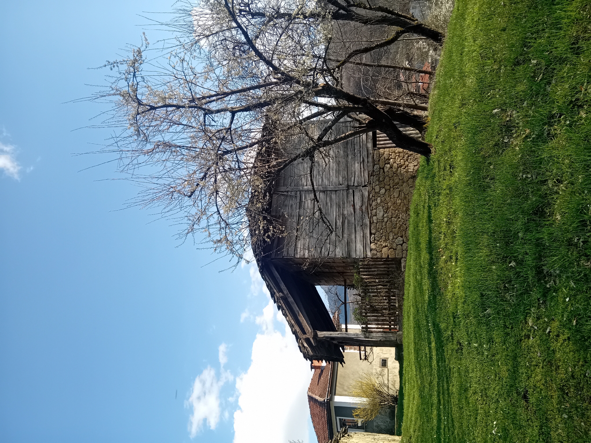 The image captures a scene in Unknown, Unknown, featuring a rustic, wooden barn or outbuilding with a stone foundation. The structure is partially obscured by a large, leafless tree with budding branches, suggesting early spring. To the right of the barn, a steep, grassy slope leads upwards. In the lower portion of the image, a building with a red-tiled roof is visible, indicating a residential area. The sky is blue with scattered white clouds, providing a backdrop of clear weather.